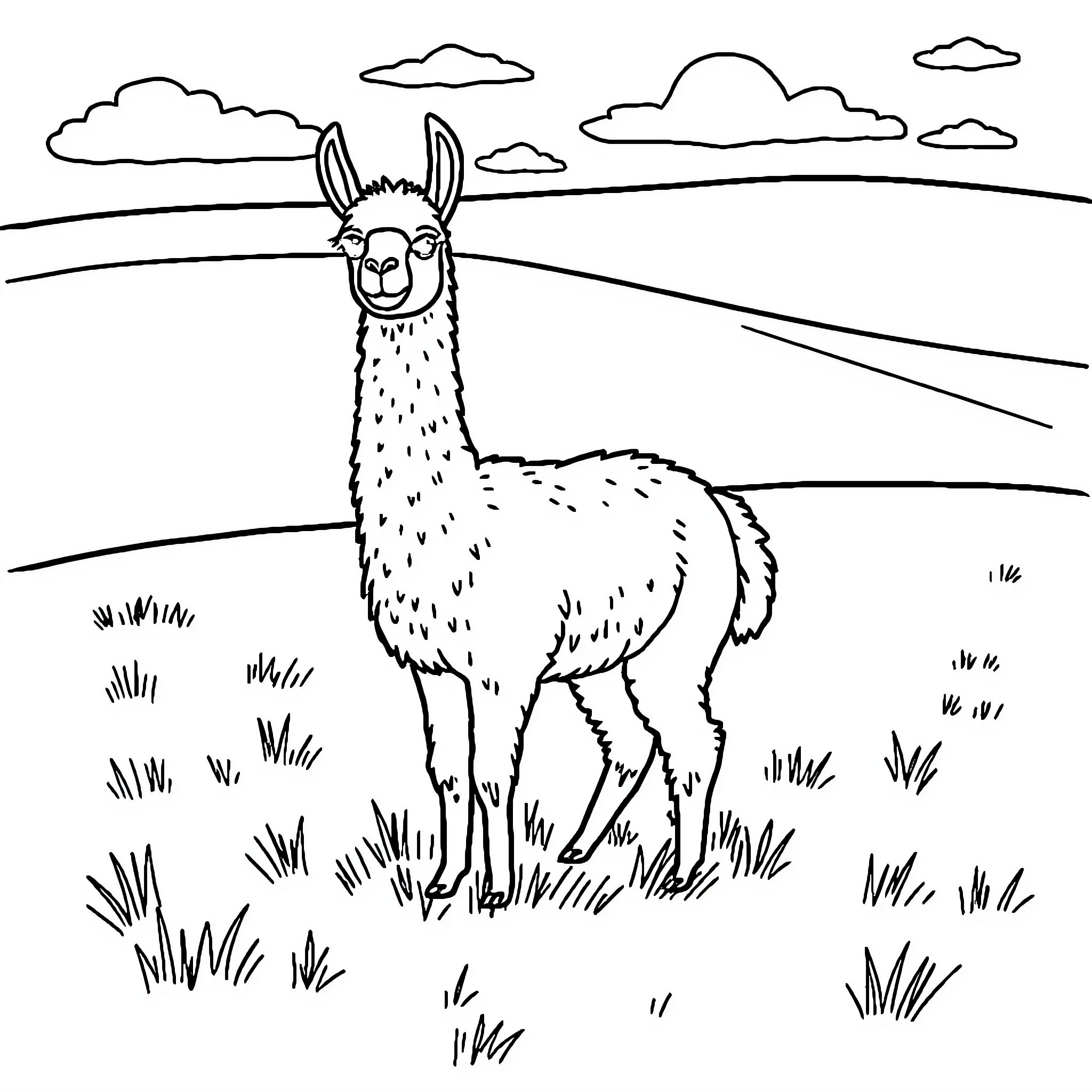 Alpaca standing in a grassy field Coloring Page (free black-and-white line drawing printable PDF for all, from beginners to advanced learners, including children, teens, adults, and seniors)