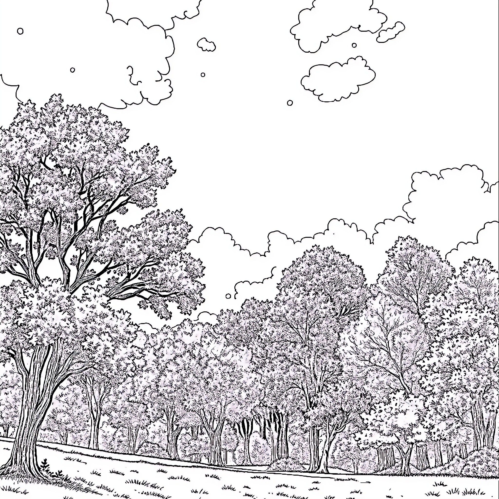 Landscape of a lush forest with blooming trees Coloring Page (free black-and-white line drawing printable PDF for all, from beginners to advanced learners, including children, teens, adults, and seniors)