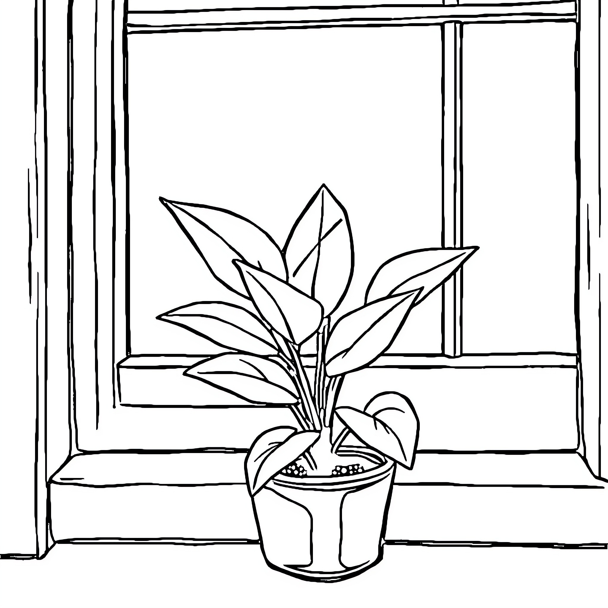 Plant in a pot by the window Coloring Page (free black-and-white line drawing printable PDF for all, from beginners to advanced learners, including children, teens, adults, and seniors)