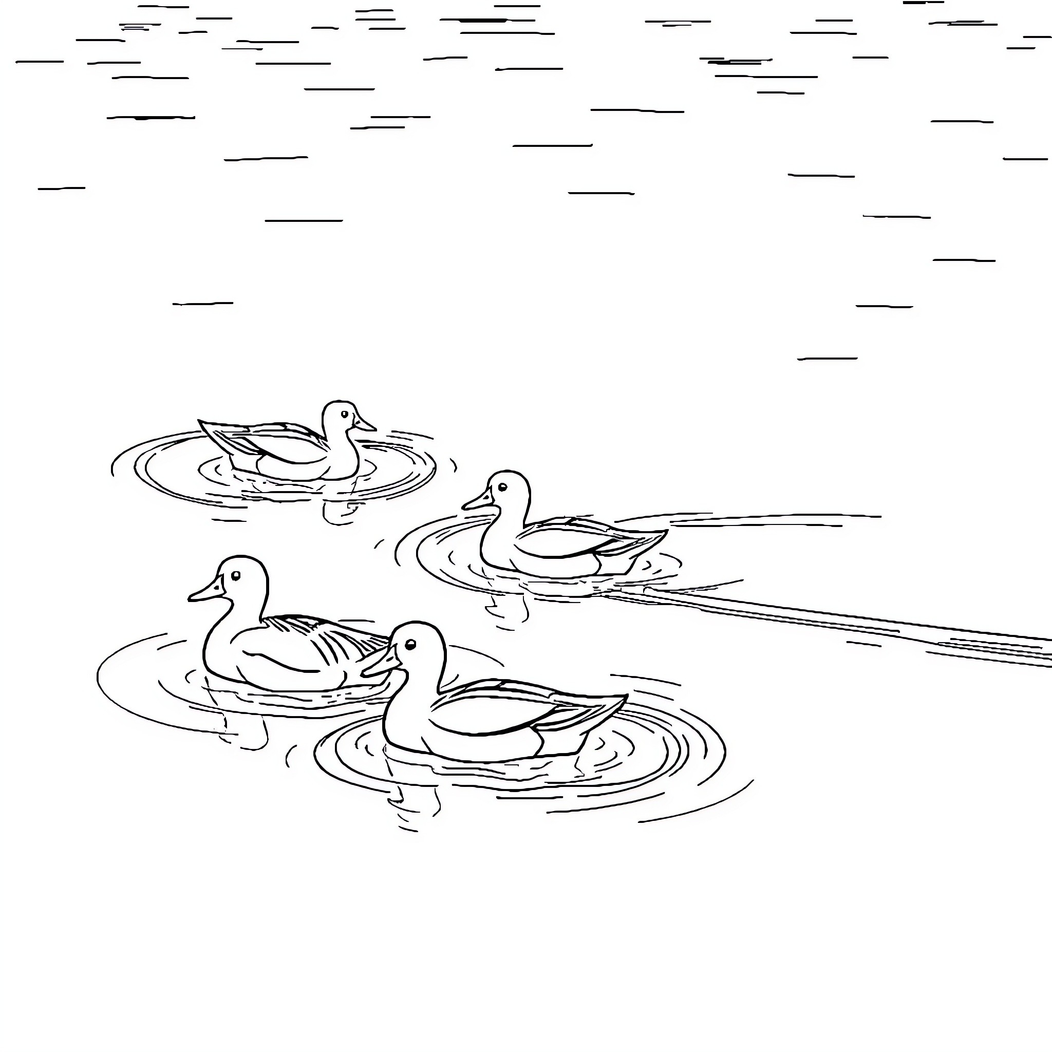 Ducks swimming peacefully in water Coloring Page (free black-and-white line drawing printable PDF for all, from beginners to advanced learners, including children, teens, adults, and seniors)
