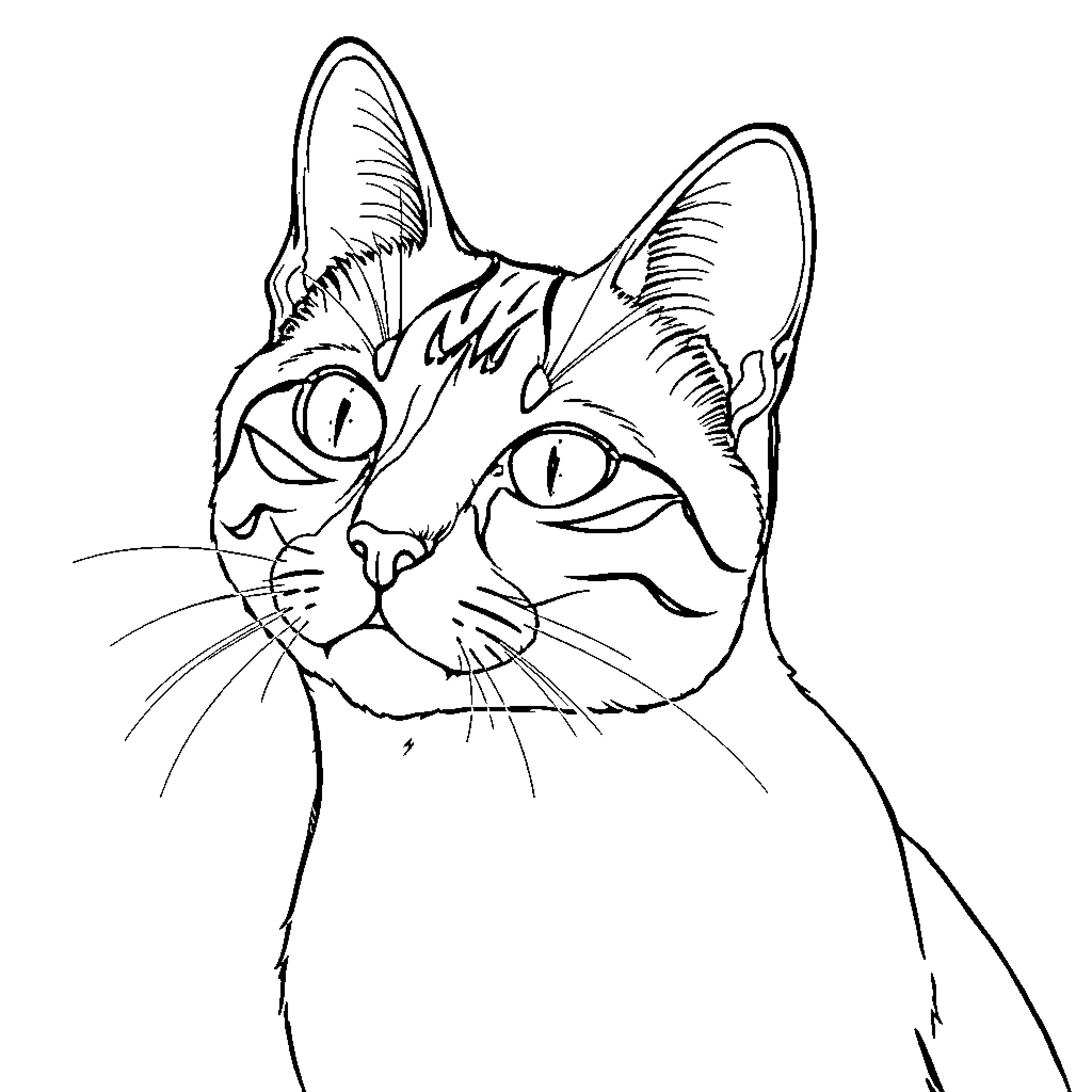Katseye Feline Portrait Coloring Page (free black-and-white line drawing printable PDF for all, from beginners to advanced learners, including children, teens, adults, and seniors)