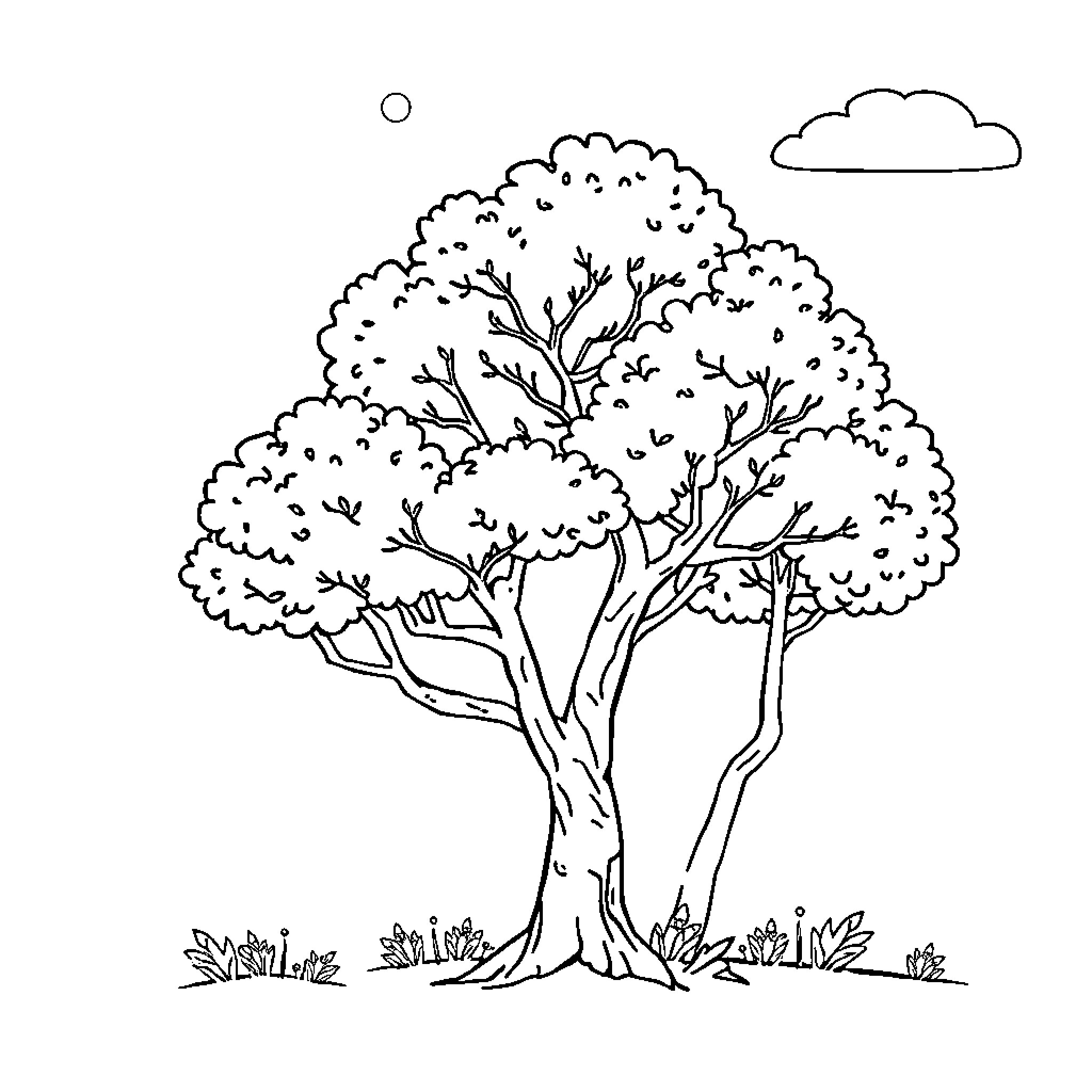 Tree with lush foliage in serene landscape Coloring Page (free black-and-white line drawing printable PDF for all, from beginners to advanced learners, including children, teens, adults, and seniors)