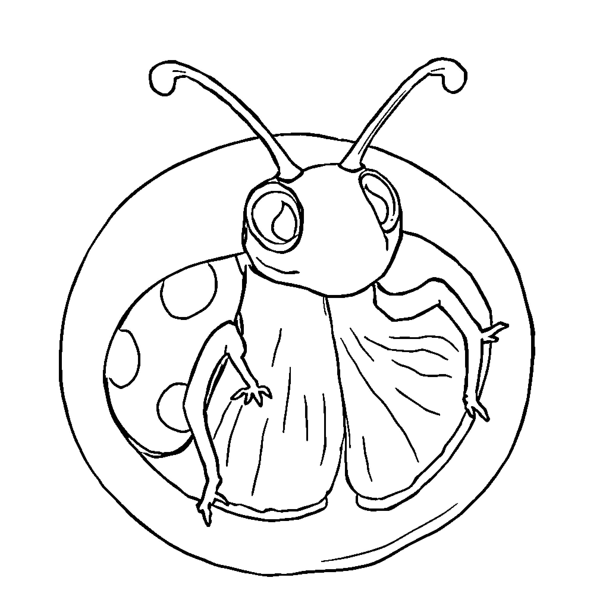 Pumpkin-shaped ladybug in simple drawing Coloring Page (free black-and-white line drawing printable PDF for all, from beginners to advanced learners, including children, teens, adults, and seniors)