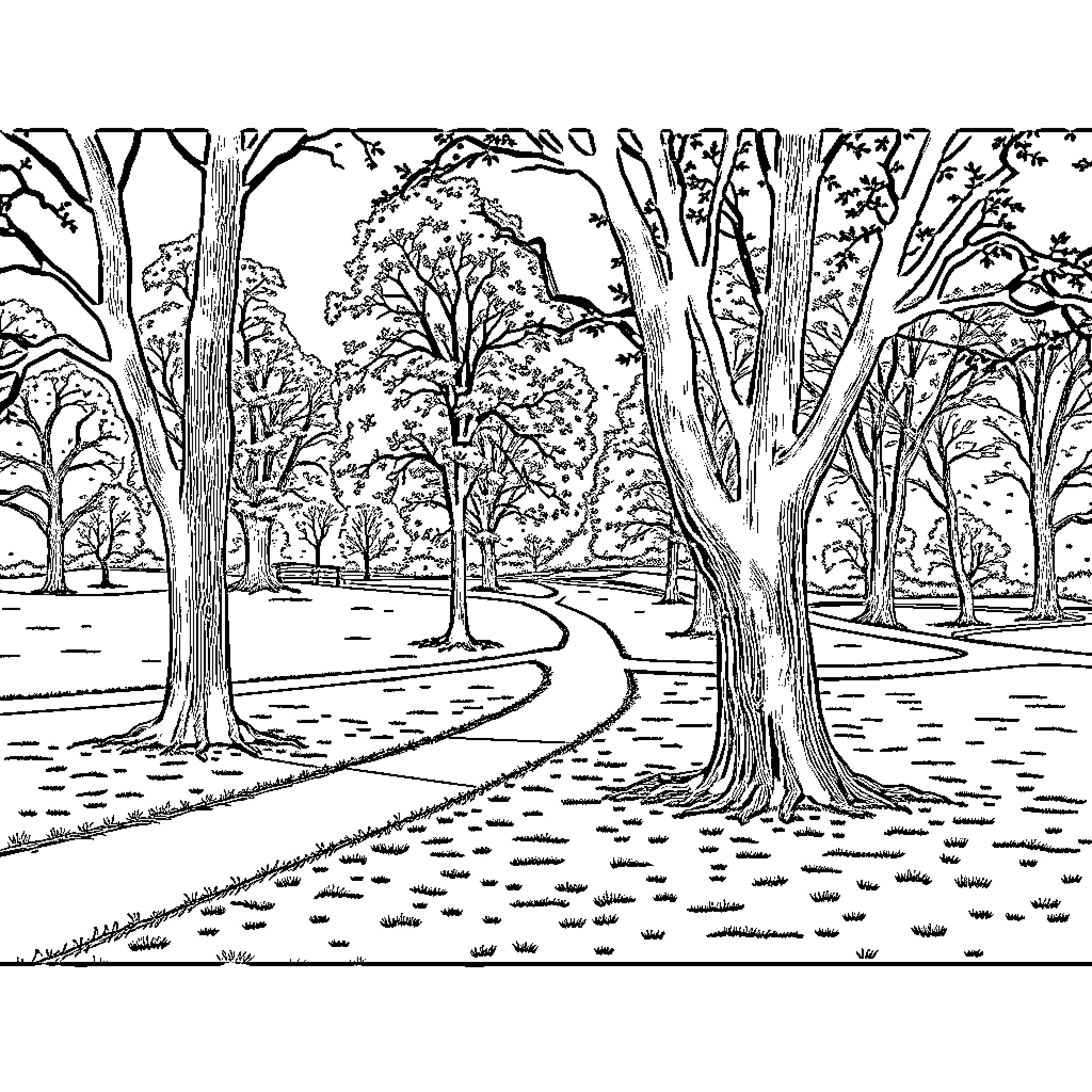 Emery Park: Serene Landscape with Winding Paths Coloring Page (free black-and-white line drawing printable PDF for all, from beginners to advanced learners, including children, teens, adults, and seniors)