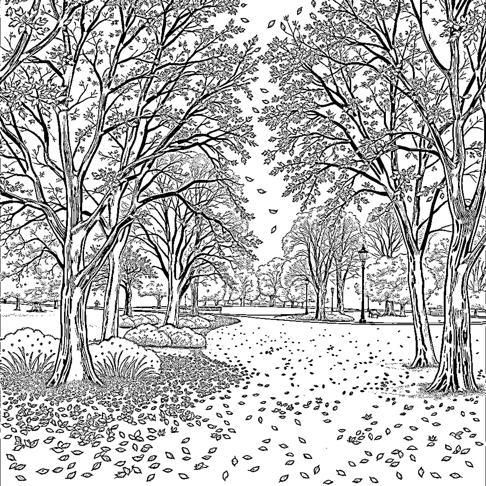 Park with Autumn Leaves and Winding Path Coloring Page (free black-and-white line drawing printable PDF for all, from beginners to advanced learners, including children, teens, adults, and seniors)