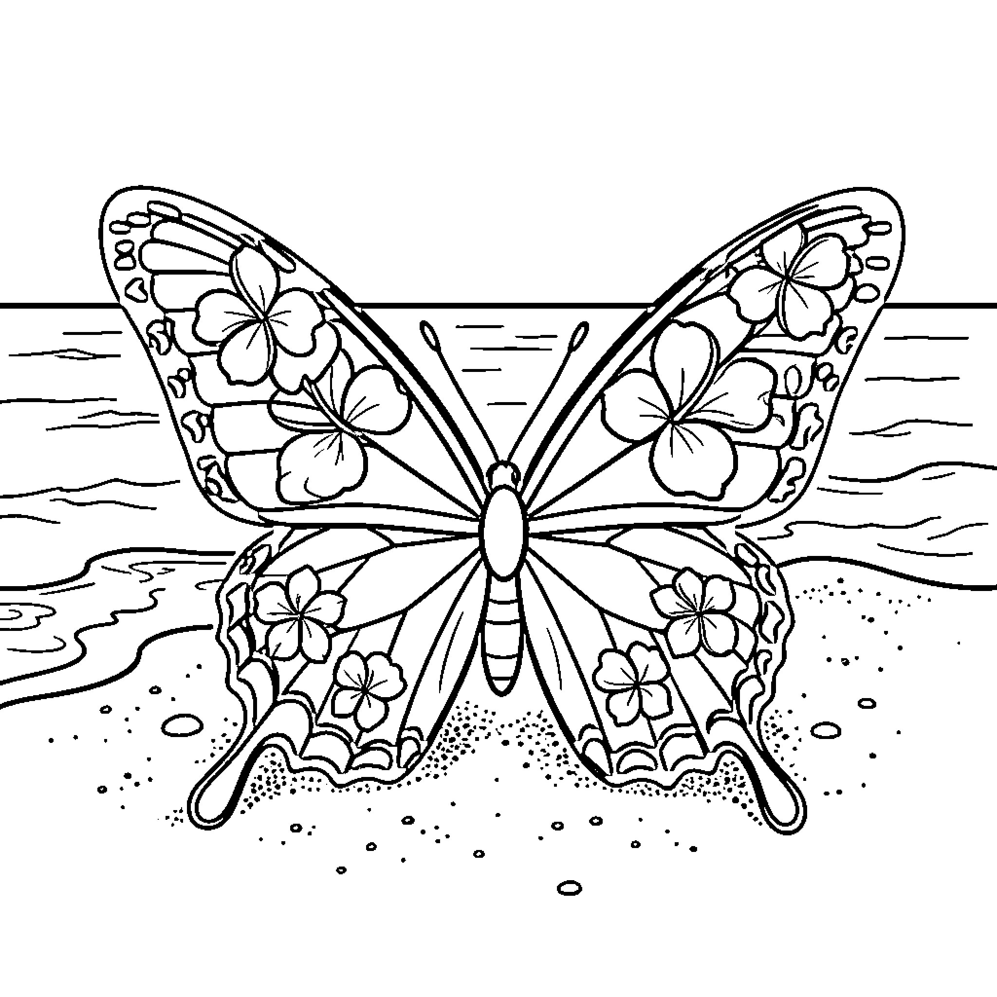 Butterfly with floral patterns resting on the beach Coloring Page (free black-and-white line drawing printable PDF for all, from beginners to advanced learners, including children, teens, adults, and seniors)