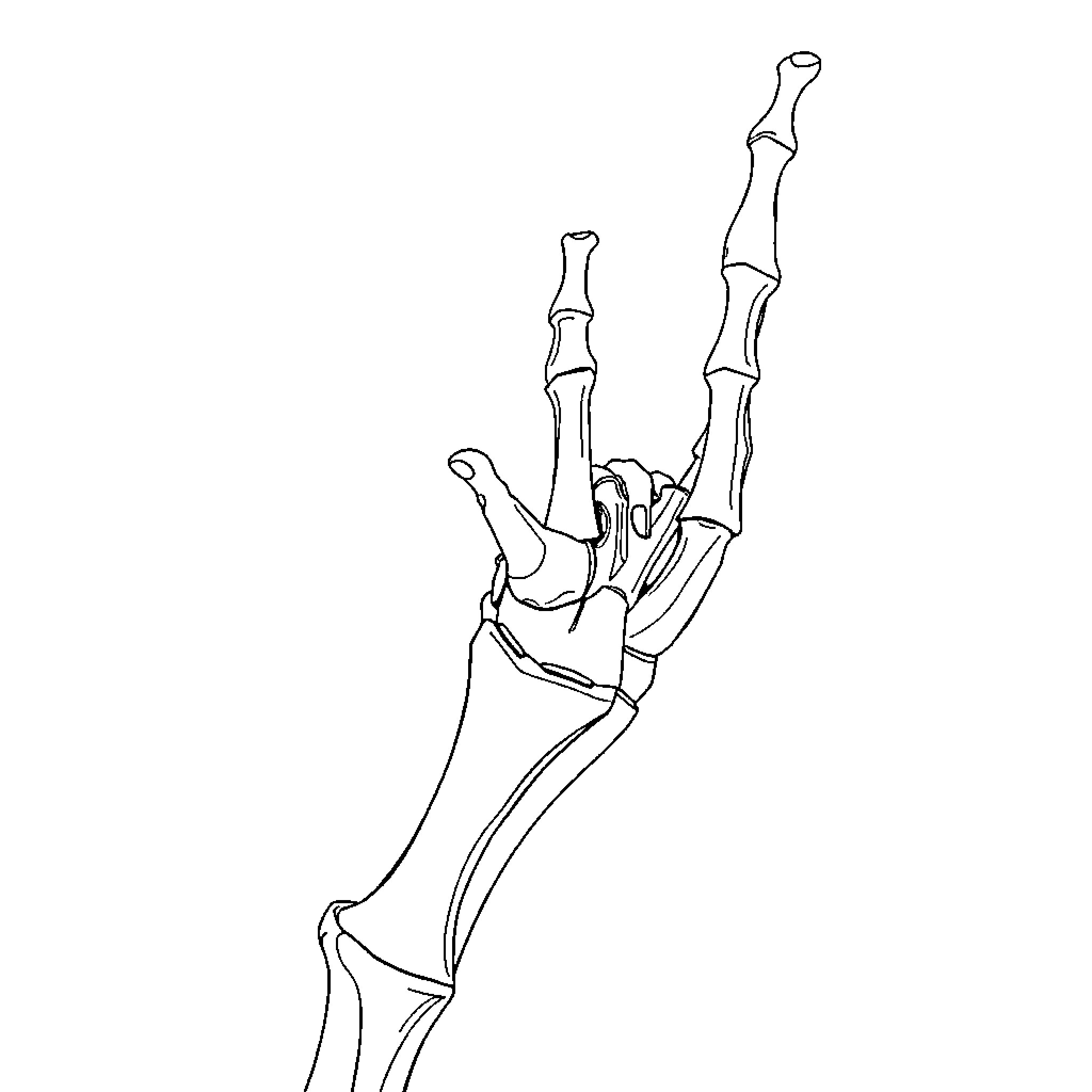 Humerus Skeletal Hand Gesture Coloring Page (free black-and-white line drawing printable PDF for all, from beginners to advanced learners, including children, teens, adults, and seniors)