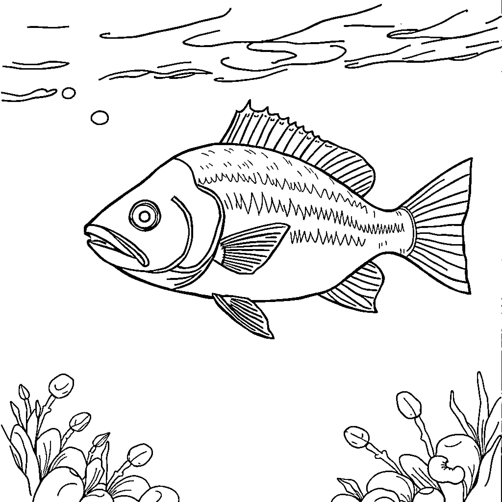Fish swimming in the underwater world Coloring Page (free black-and-white line drawing printable PDF for all, from beginners to advanced learners, including children, teens, adults, and seniors)