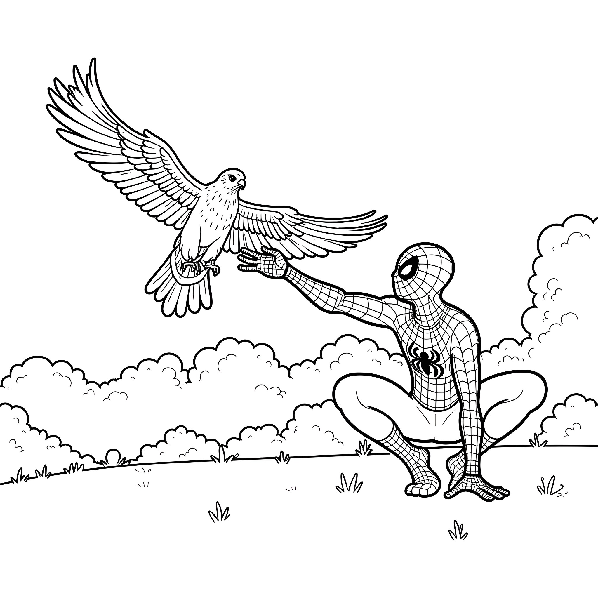 Spiderman catching a bird in the sky Coloring Page (free black-and-white line drawing printable PDF for all, from beginners to advanced learners, including children, teens, adults, and seniors)
