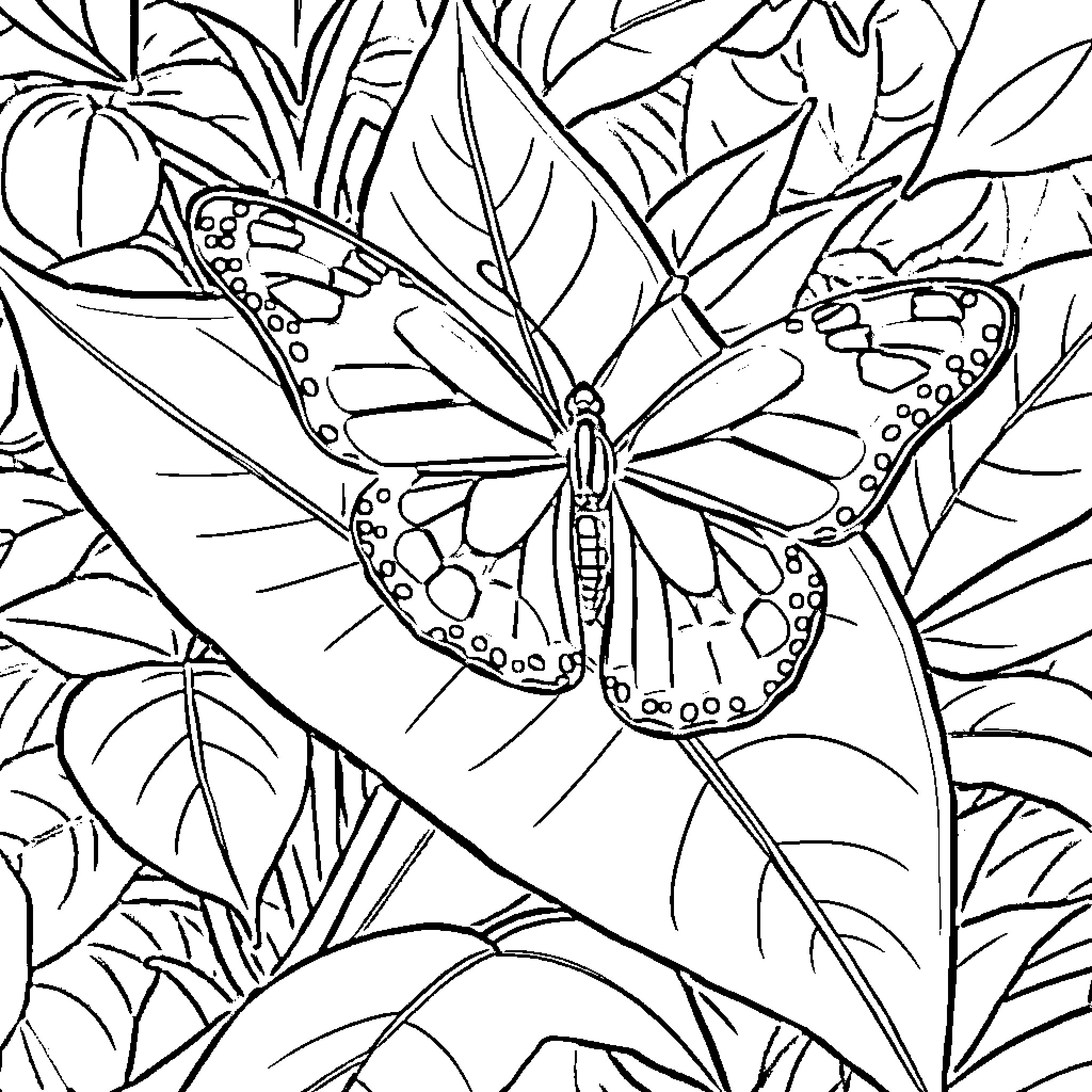 Butterfly flying amidst lush foliage Coloring Page (free black-and-white line drawing printable PDF for all, from beginners to advanced learners, including children, teens, adults, and seniors)