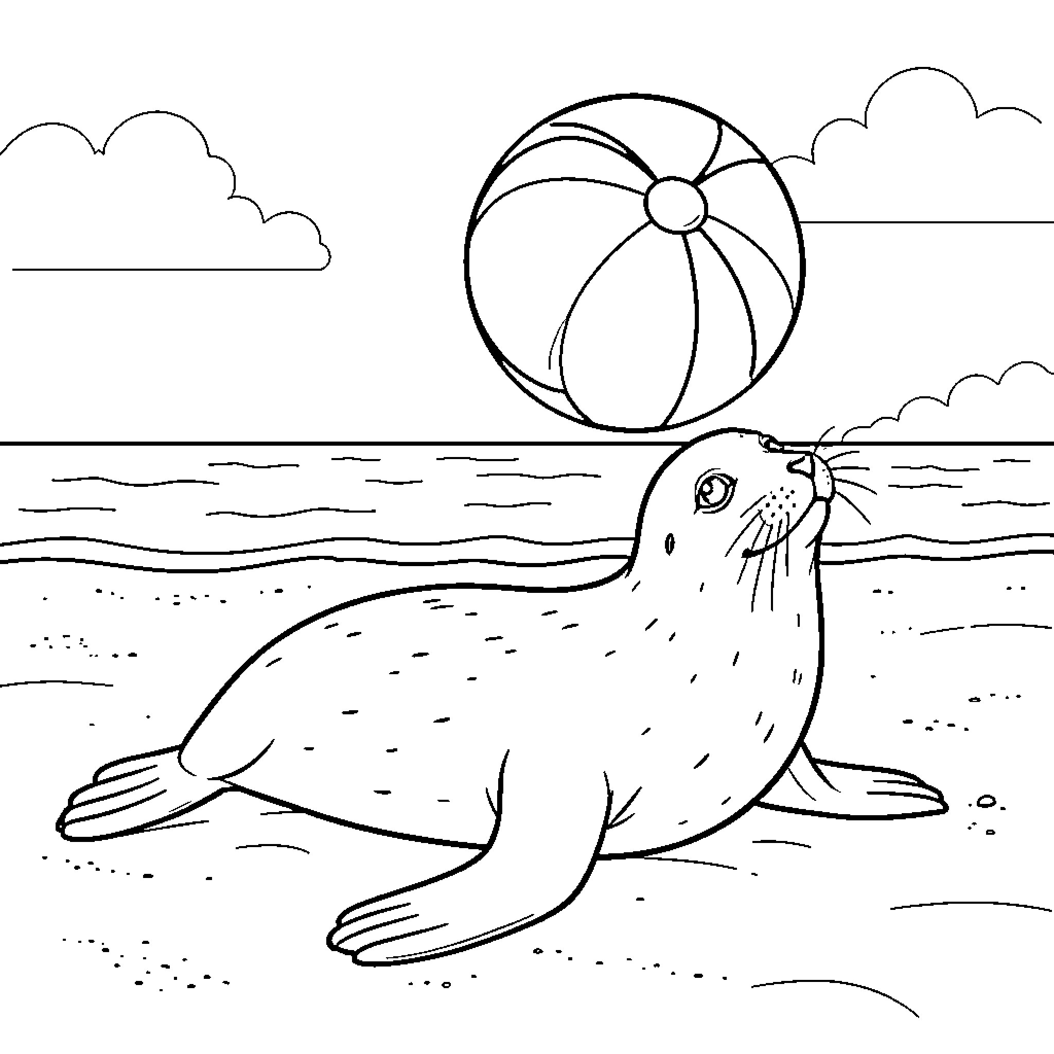 Seal looking up at a large beach ball Coloring Page (free black-and-white line drawing printable PDF for all, from beginners to advanced learners, including children, teens, adults, and seniors)