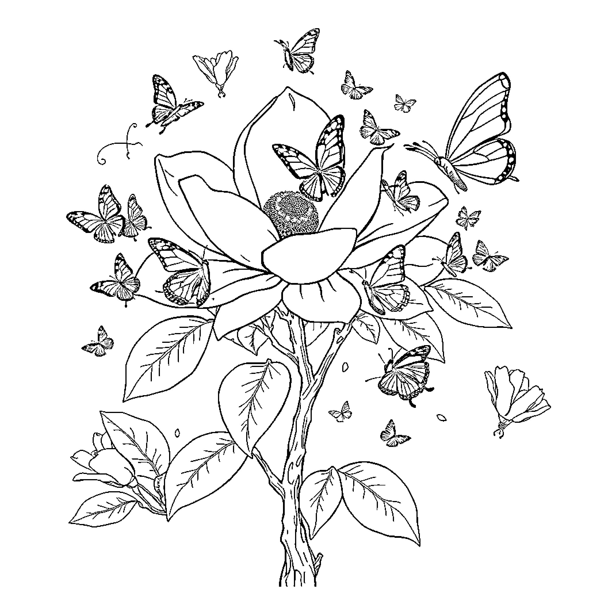 Butterflies surrounding a blooming flower Coloring Page (free black-and-white line drawing printable PDF for all, from beginners to advanced learners, including children, teens, adults, and seniors)