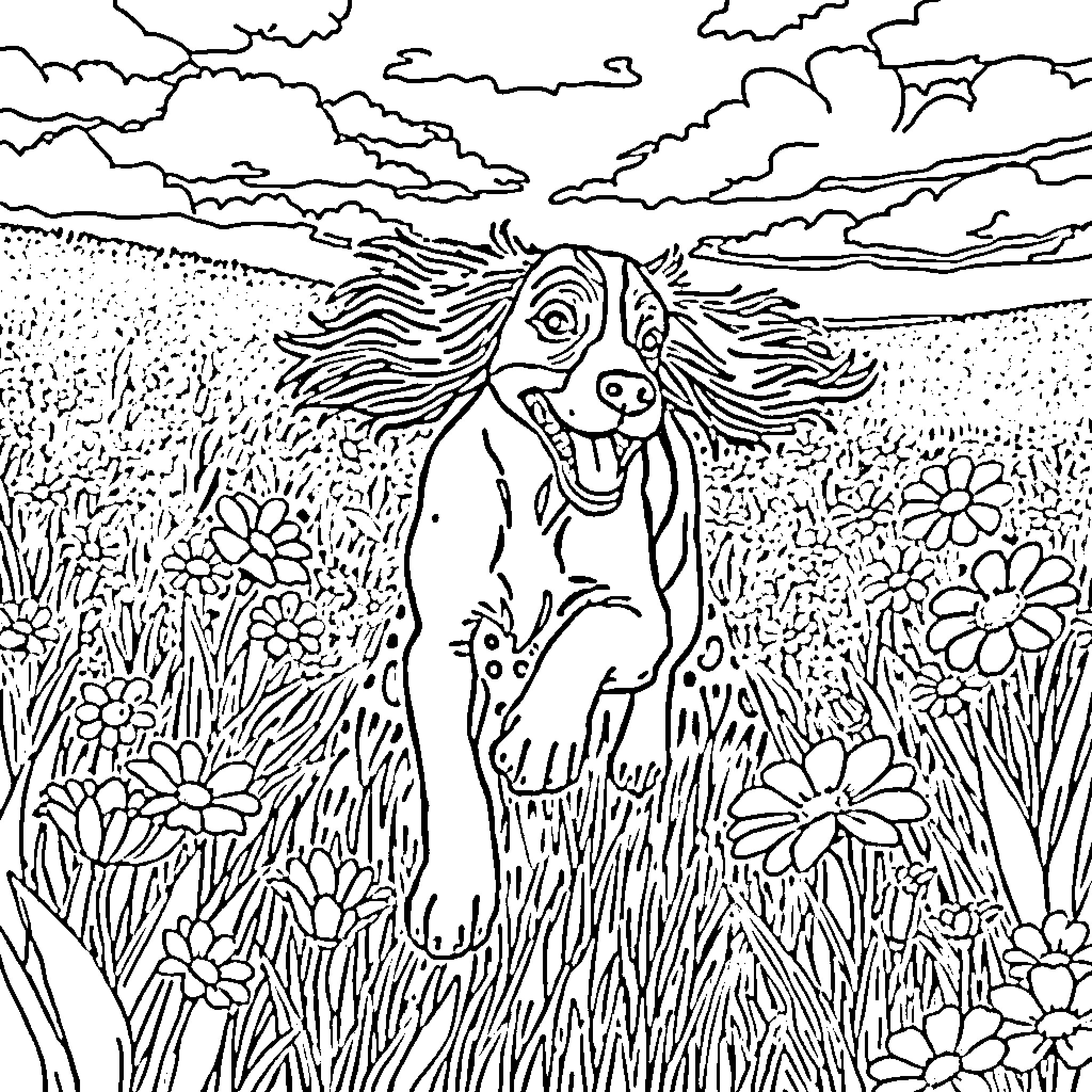 Brittany Spaniel playing in a field of flowers Coloring Page (free black-and-white line drawing printable PDF for all, from beginners to advanced learners, including children, teens, adults, and seniors)