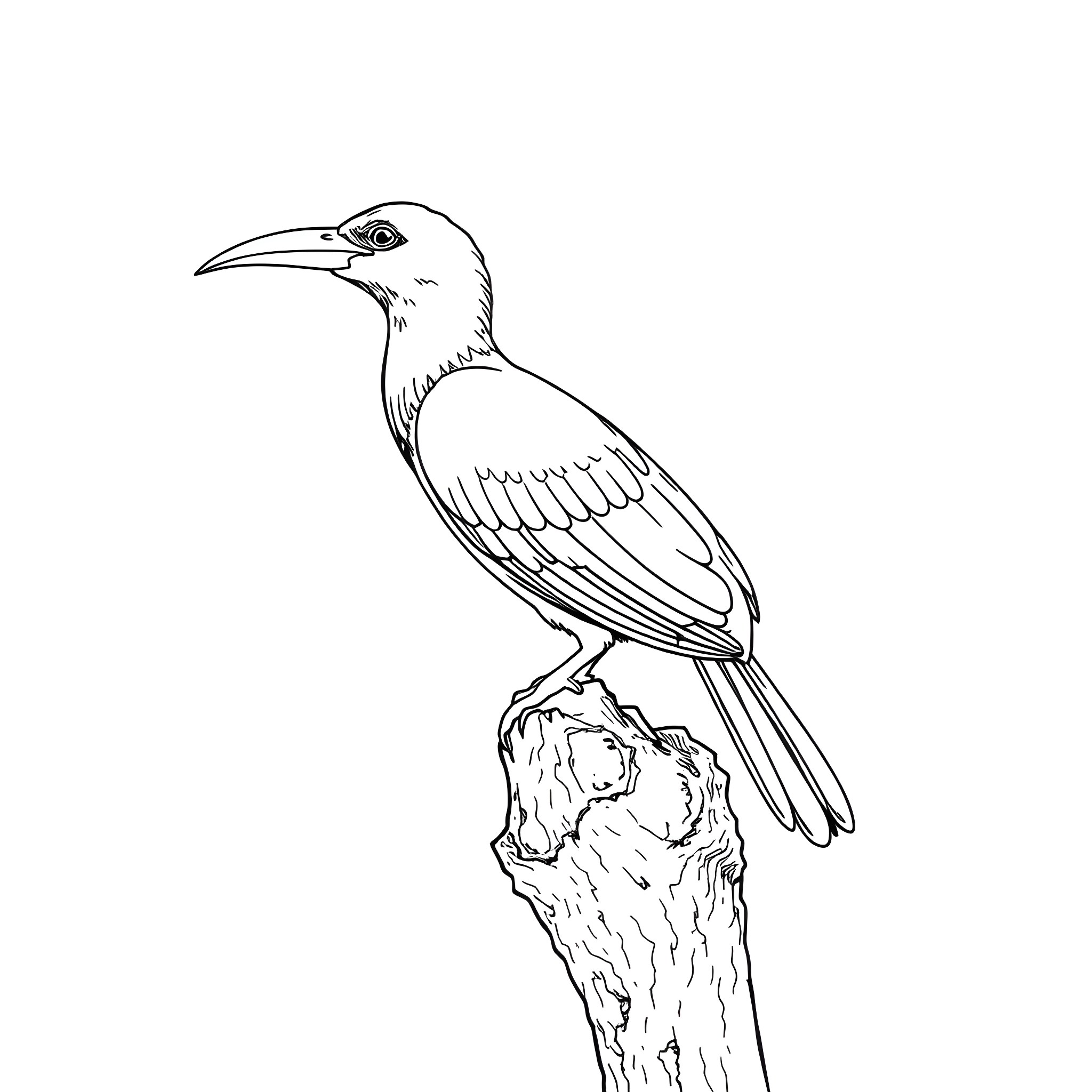 Akepe bird resting on tree branch Coloring Page (free black-and-white line drawing printable PDF for all, from beginners to advanced learners, including children, teens, adults, and seniors)