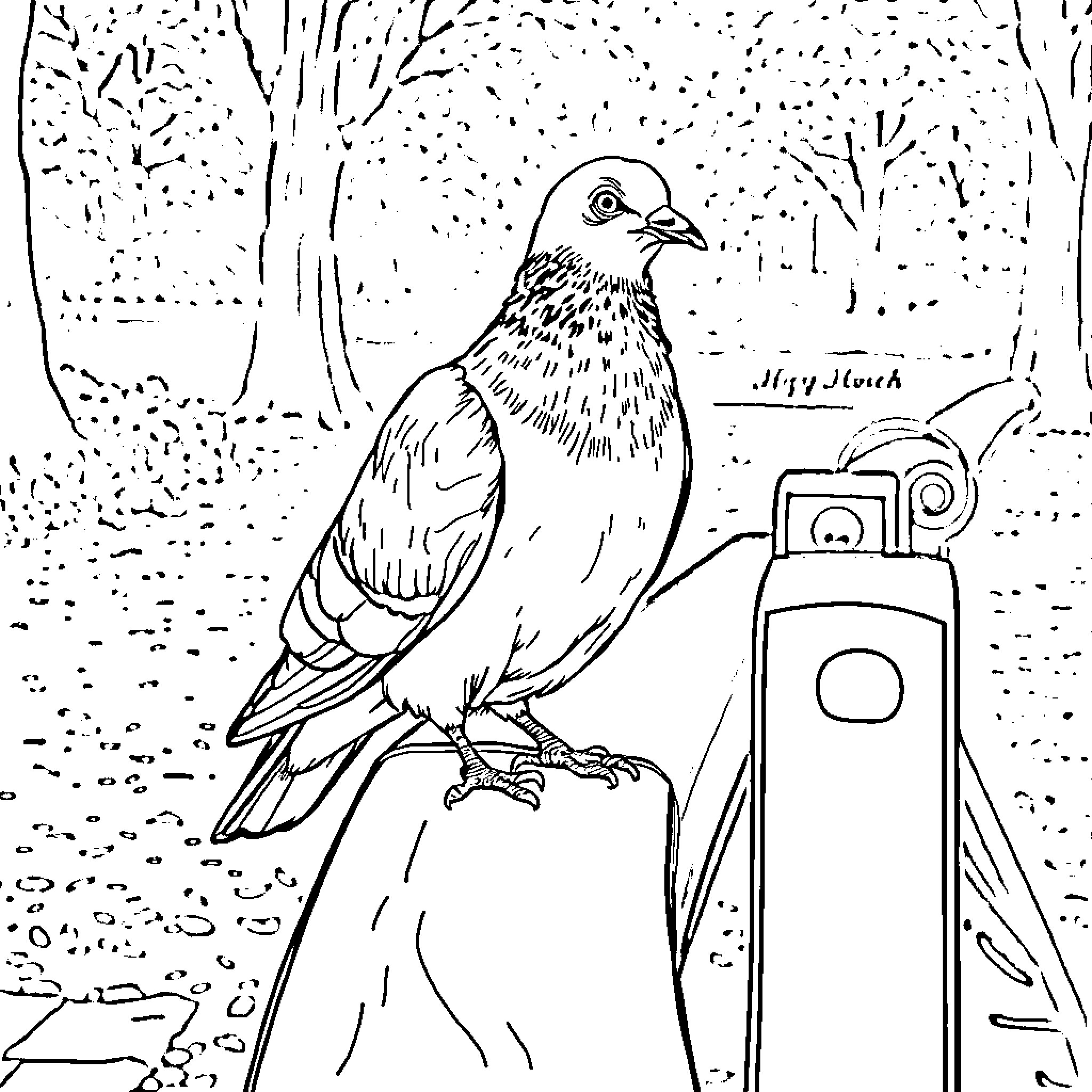 Pigeon perched on a camera tripod in the woods Coloring Page (free black-and-white line drawing printable PDF for all, from beginners to advanced learners, including children, teens, adults, and seniors)
