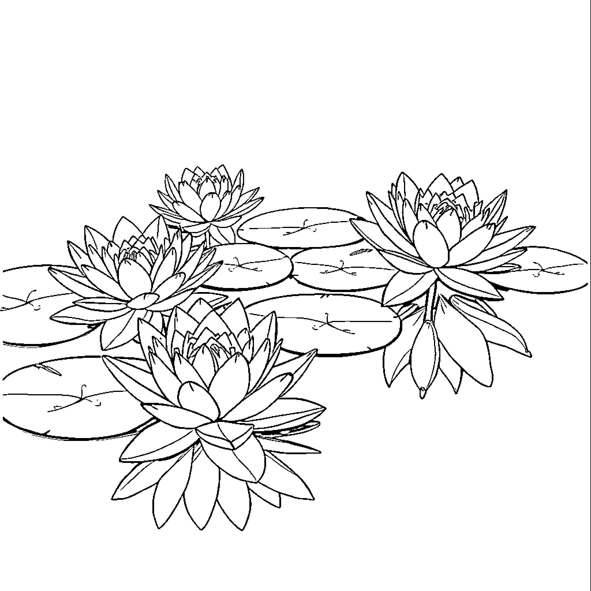 Water Lily Pond with Floating Flowers Coloring Page (free black-and-white line drawing printable PDF for all, from beginners to advanced learners, including children, teens, adults, and seniors)