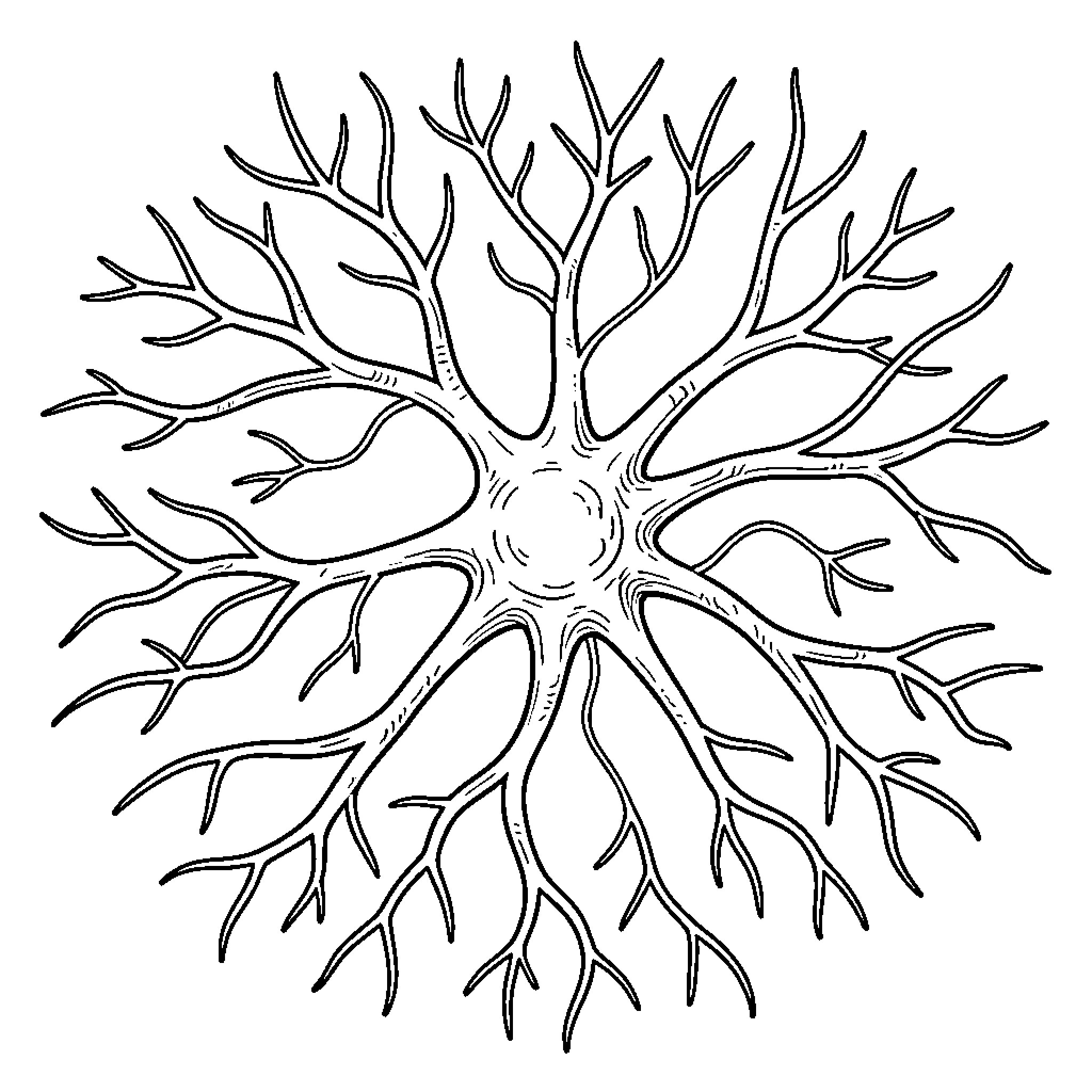 Neuron with intricate branching structure Coloring Page (free black-and-white line drawing printable PDF for all, from beginners to advanced learners, including children, teens, adults, and seniors)