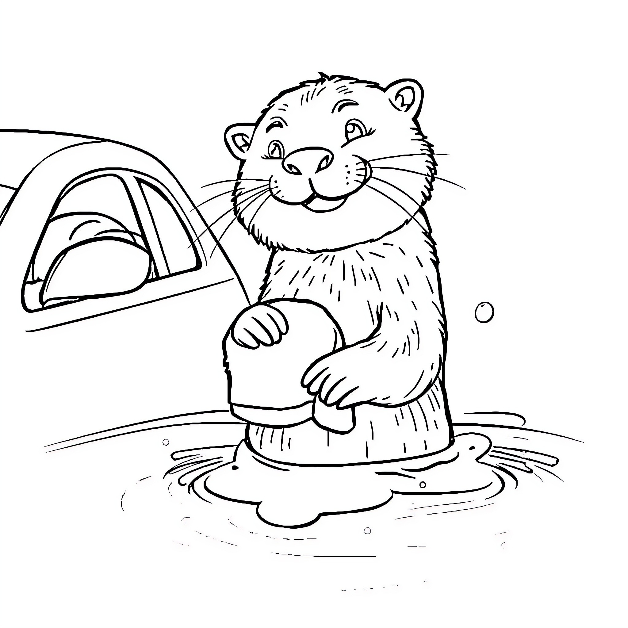 Otter enjoying a puddle near a car Coloring Page (free black-and-white line drawing printable PDF for all, from beginners to advanced learners, including children, teens, adults, and seniors)