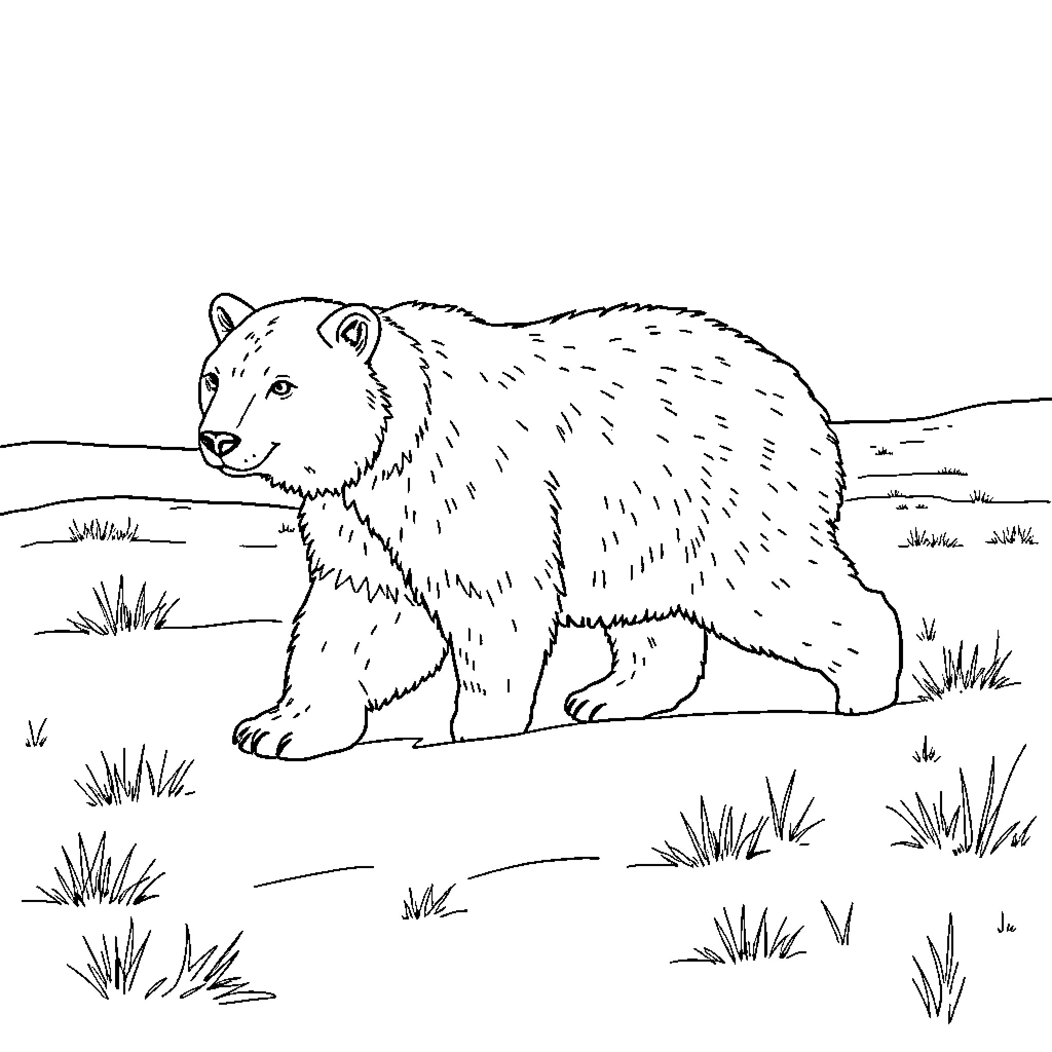 Polar Bear standing in the snowy landscape Coloring Page (free black-and-white line drawing printable PDF for all, from beginners to advanced learners, including children, teens, adults, and seniors)