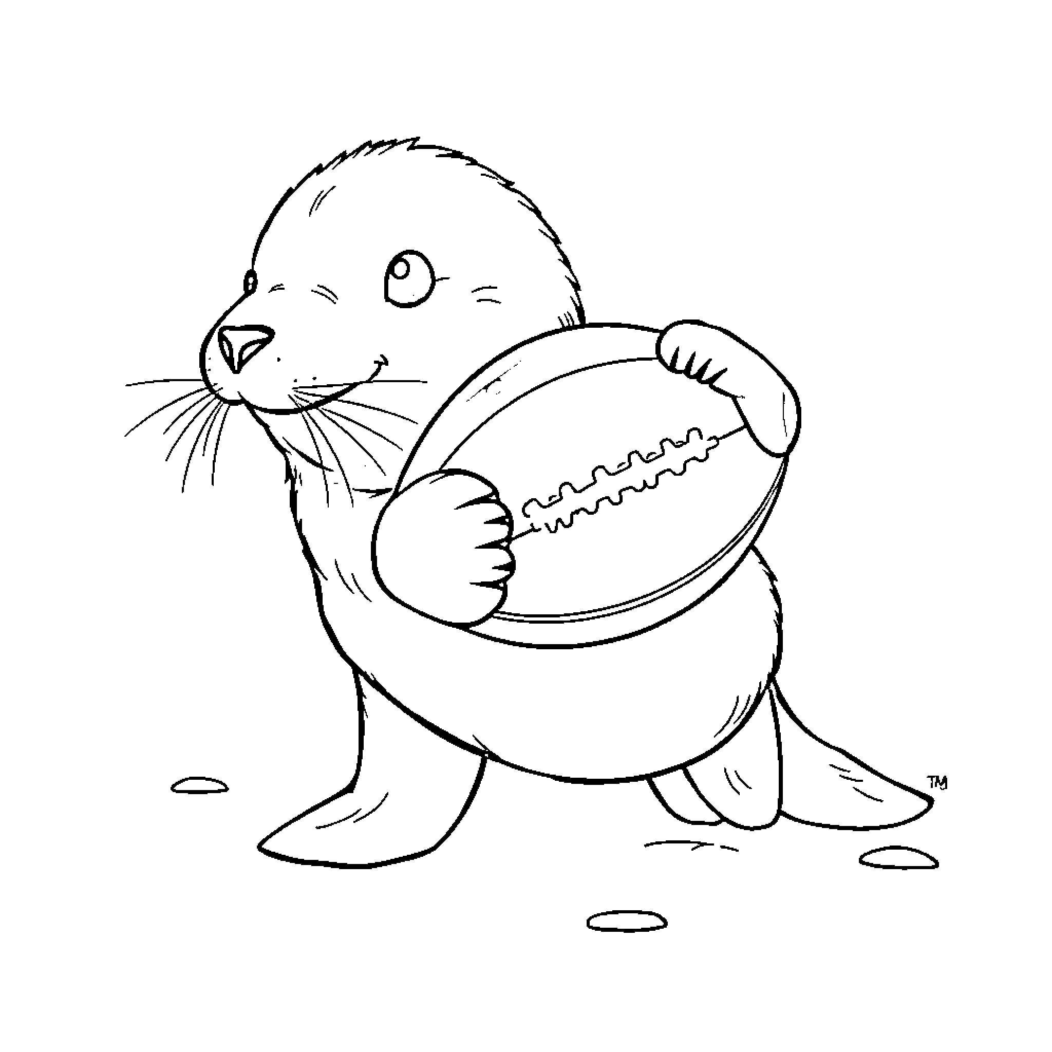 Seal playing with a football Coloring Page (free black-and-white line drawing printable PDF for all, from beginners to advanced learners, including children, teens, adults, and seniors)