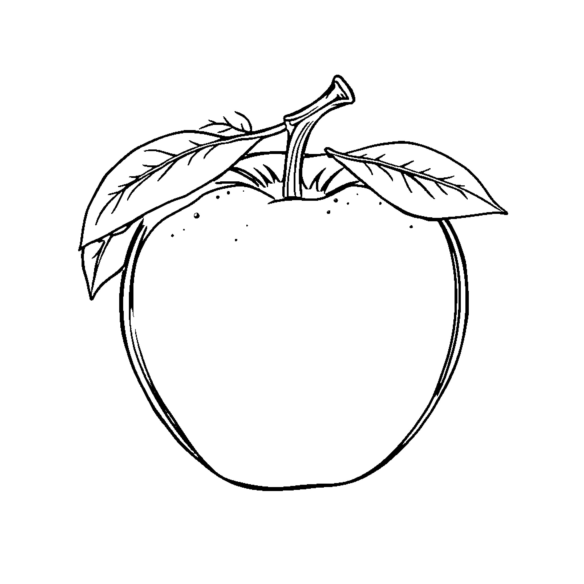 Apple with Detailed Leaves Coloring Page (free black-and-white line drawing printable PDF for all, from beginners to advanced learners, including children, teens, adults, and seniors)