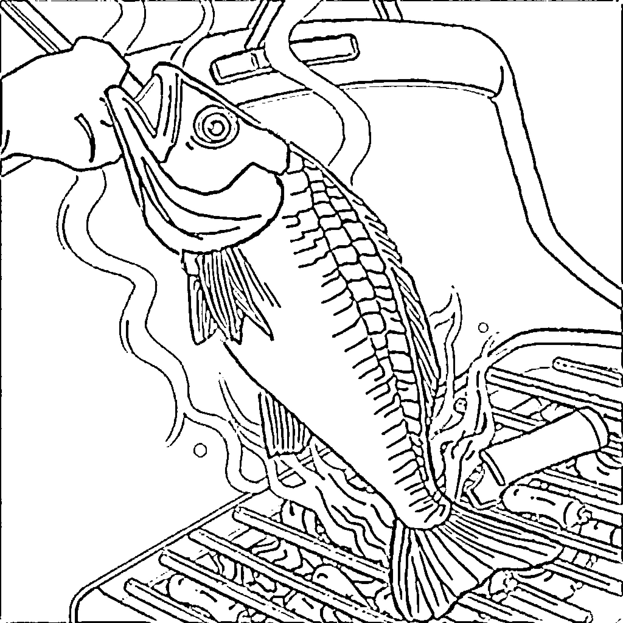 Fish swimming on a sketch-like surface Coloring Page (free black-and-white line drawing printable PDF for all, from beginners to advanced learners, including children, teens, adults, and seniors)