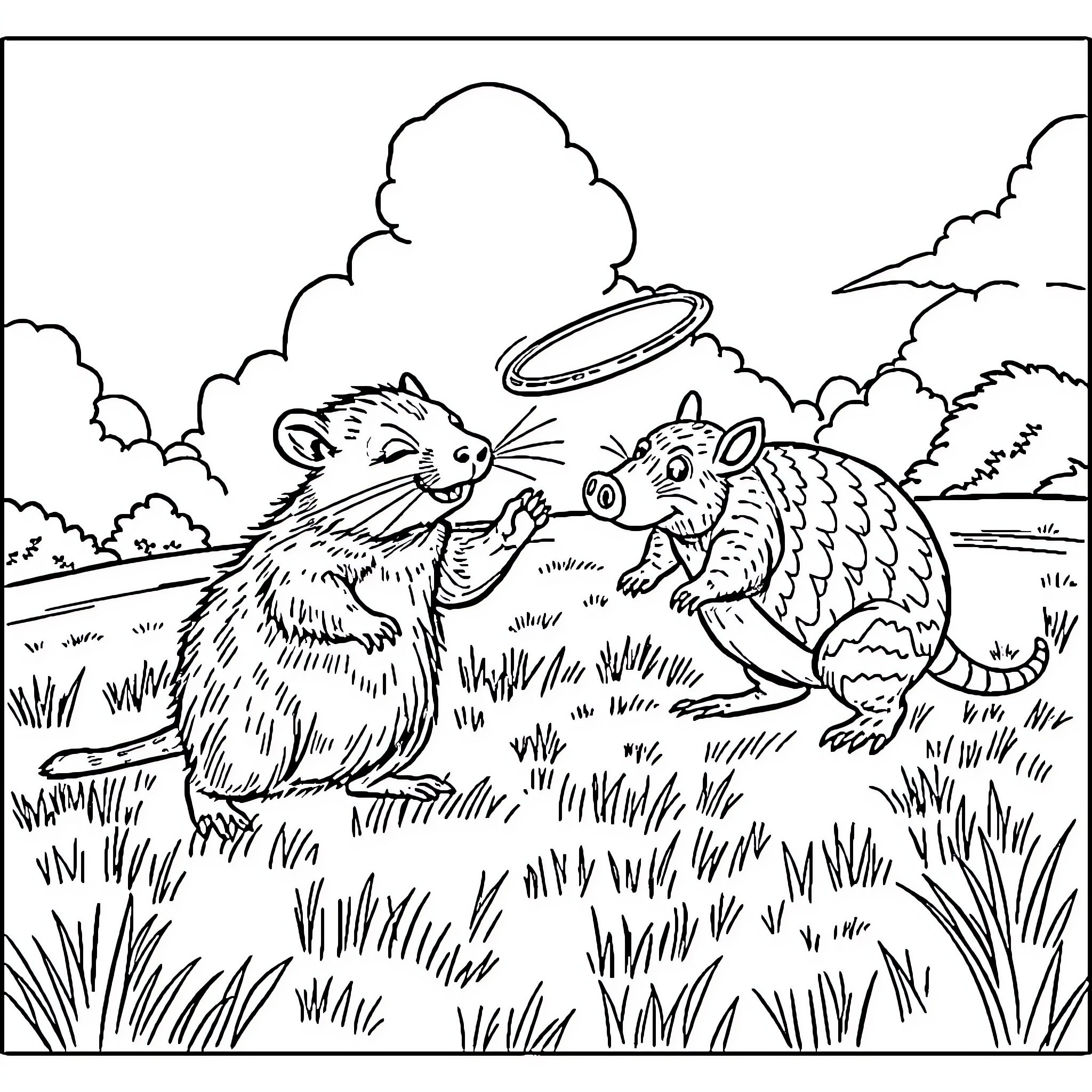 Wombat friends play frisbee in the meadow Coloring Page (free black-and-white line drawing printable PDF for all, from beginners to advanced learners, including children, teens, adults, and seniors)