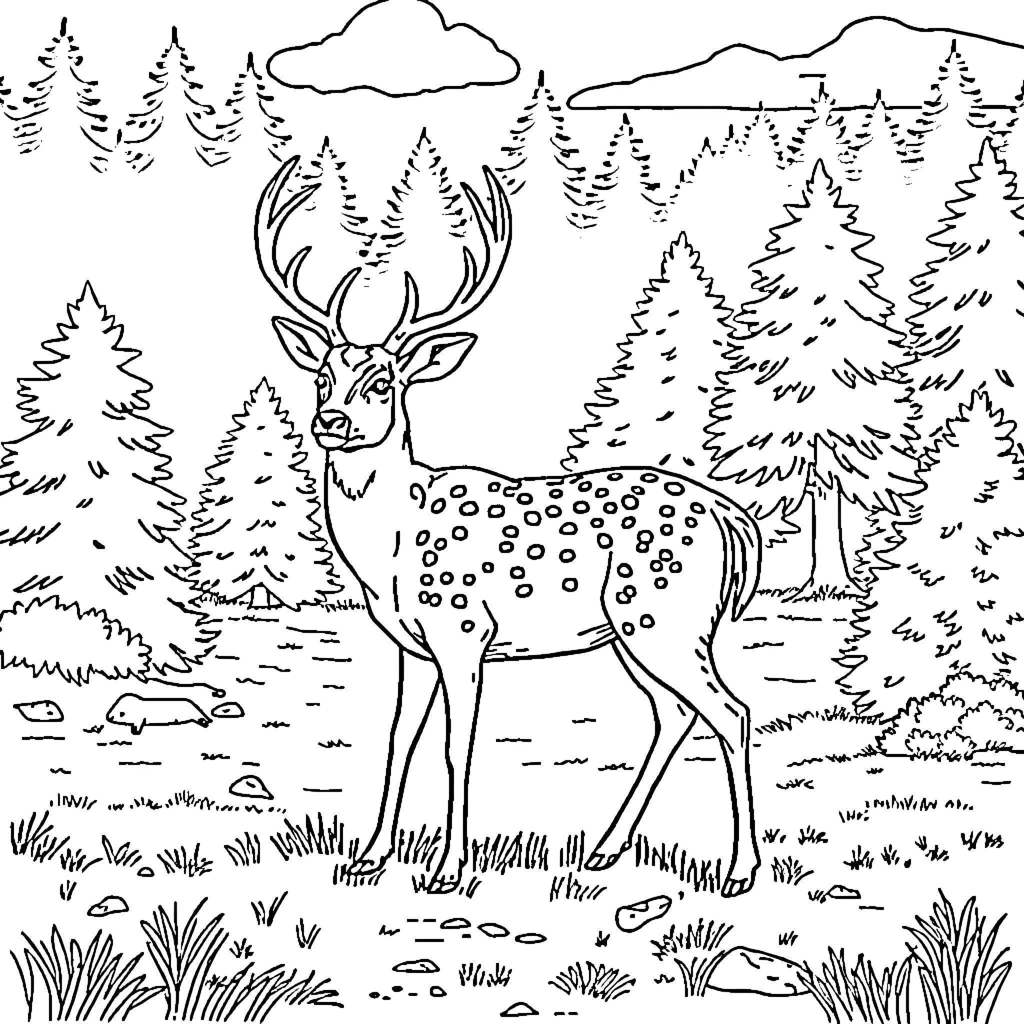 Deer standing calmly in the forest Coloring Page (free black-and-white line drawing printable PDF for all, from beginners to advanced learners, including children, teens, adults, and seniors)