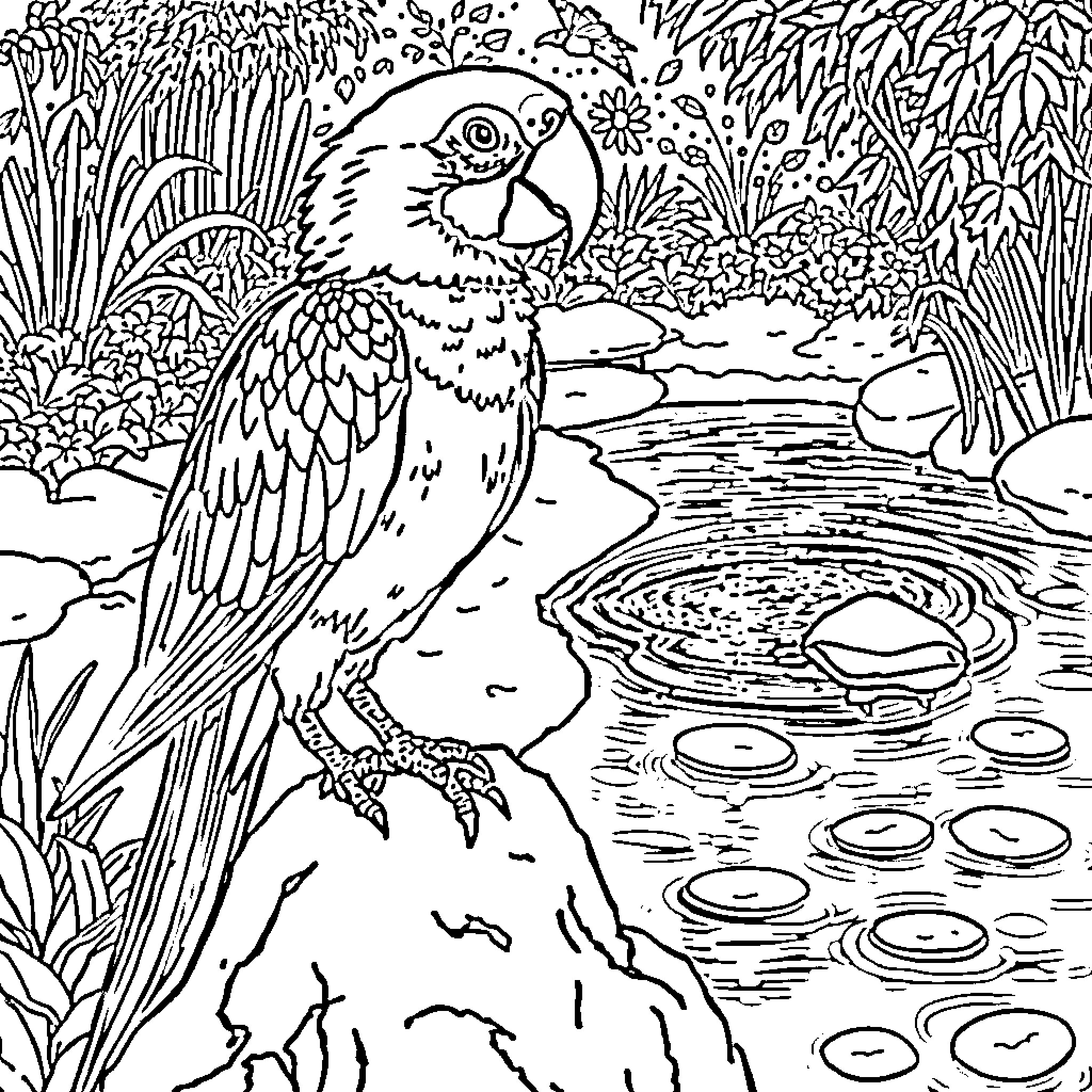 Parrot perched amidst lush foliage and water Coloring Page (free black-and-white line drawing printable PDF for all, from beginners to advanced learners, including children, teens, adults, and seniors)