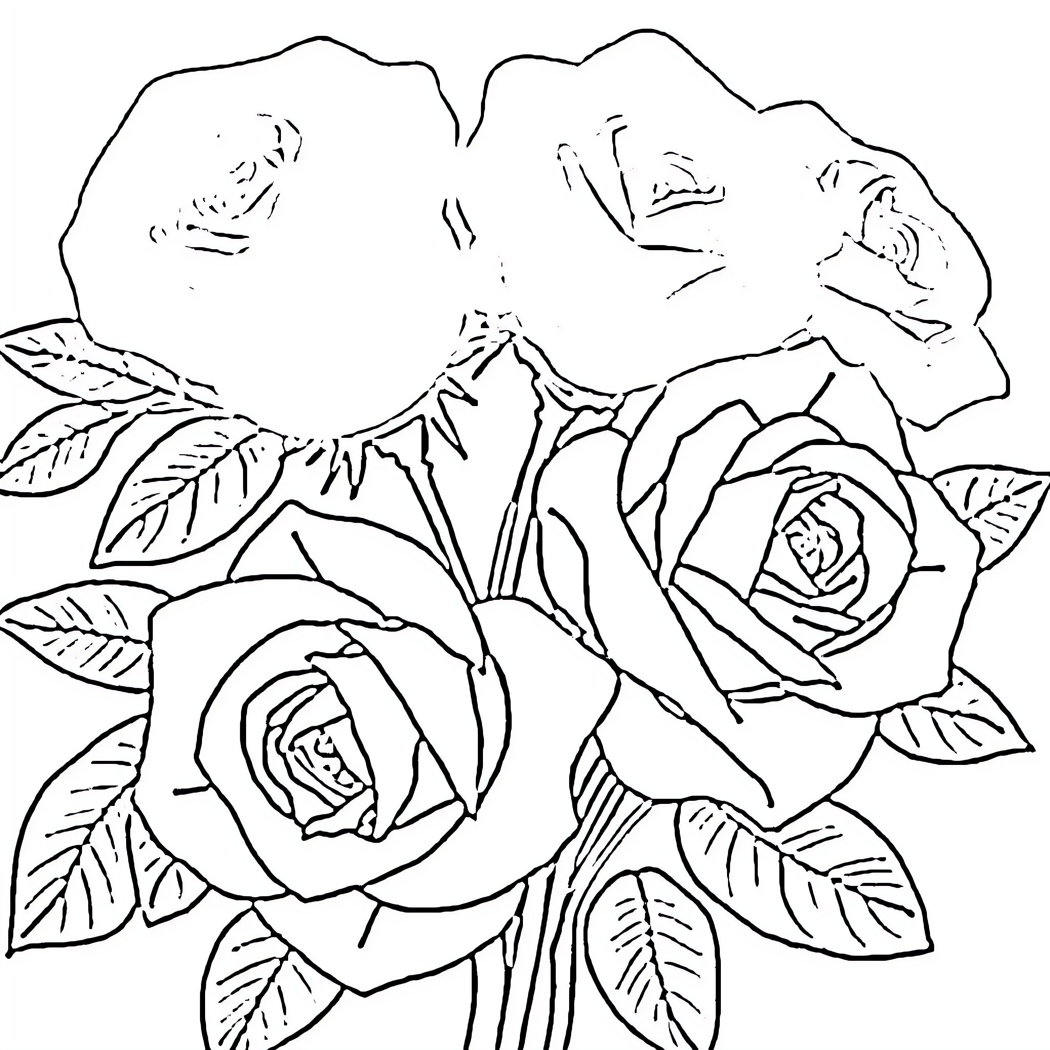 Rose Blossoms in Elegant Bouquet Coloring Page (free black-and-white line drawing printable PDF for all, from beginners to advanced learners, including children, teens, adults, and seniors)