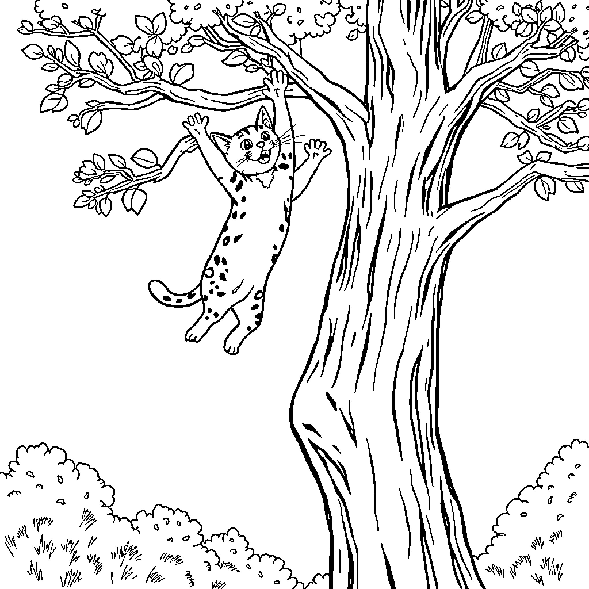 Tabby Cat Climbing Up a Tree Coloring Page (free black-and-white line drawing printable PDF for all, from beginners to advanced learners, including children, teens, adults, and seniors)