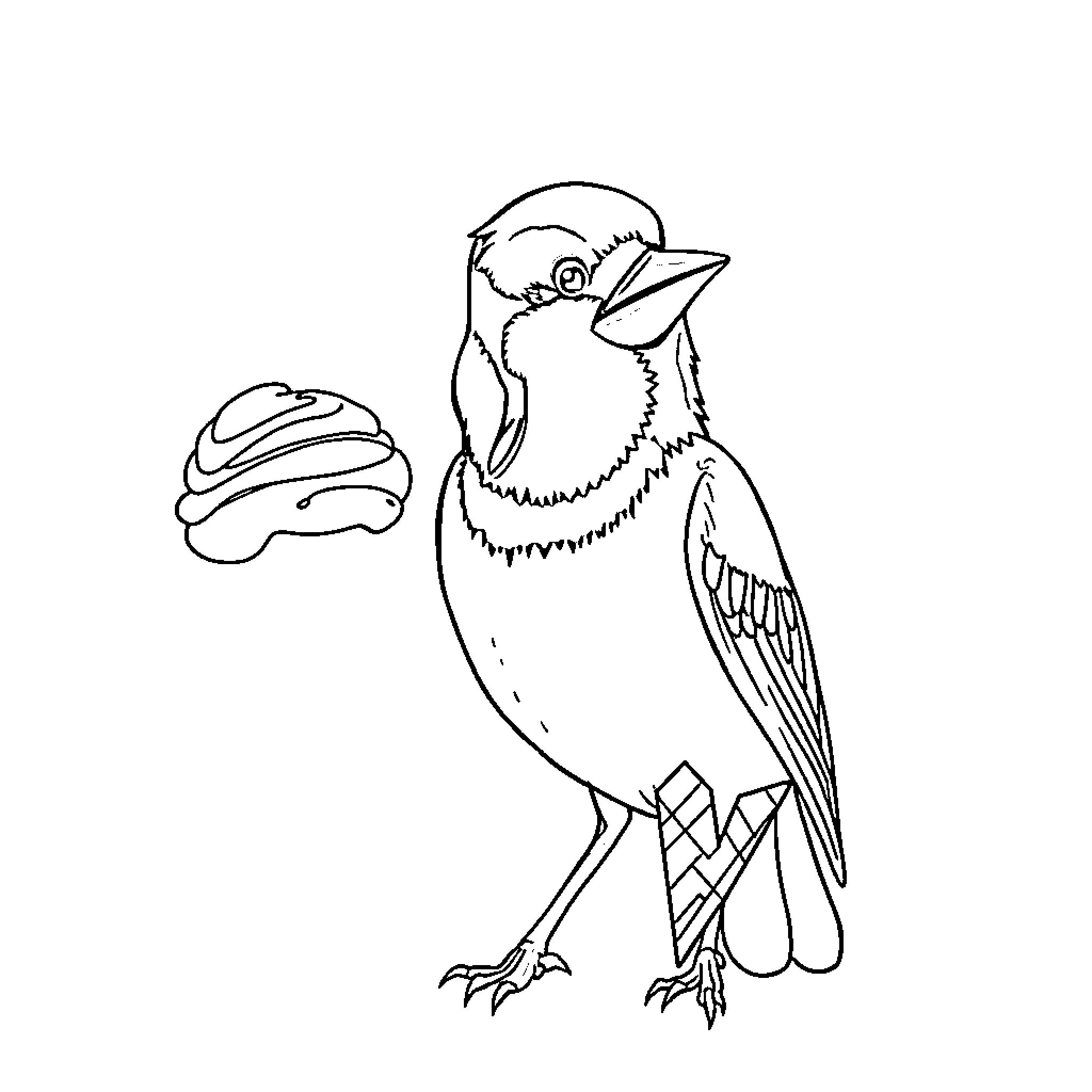 Blue Jay picking up mushroom Coloring Page (free black-and-white line drawing printable PDF for all, from beginners to advanced learners, including children, teens, adults, and seniors)