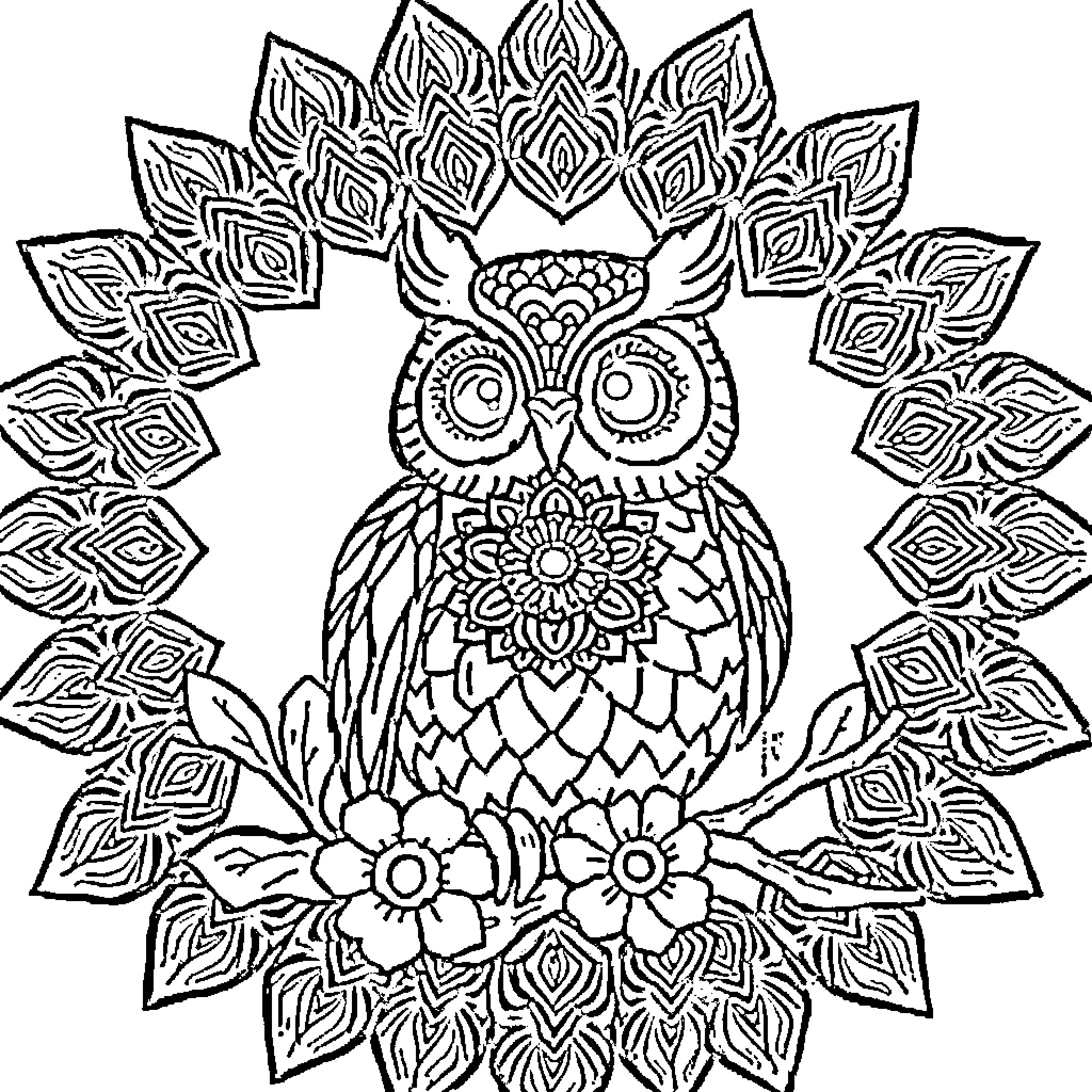 Owl surrounded by ornate floral patterns Coloring Page (free black-and-white line drawing printable PDF for all, from beginners to advanced learners, including children, teens, adults, and seniors)