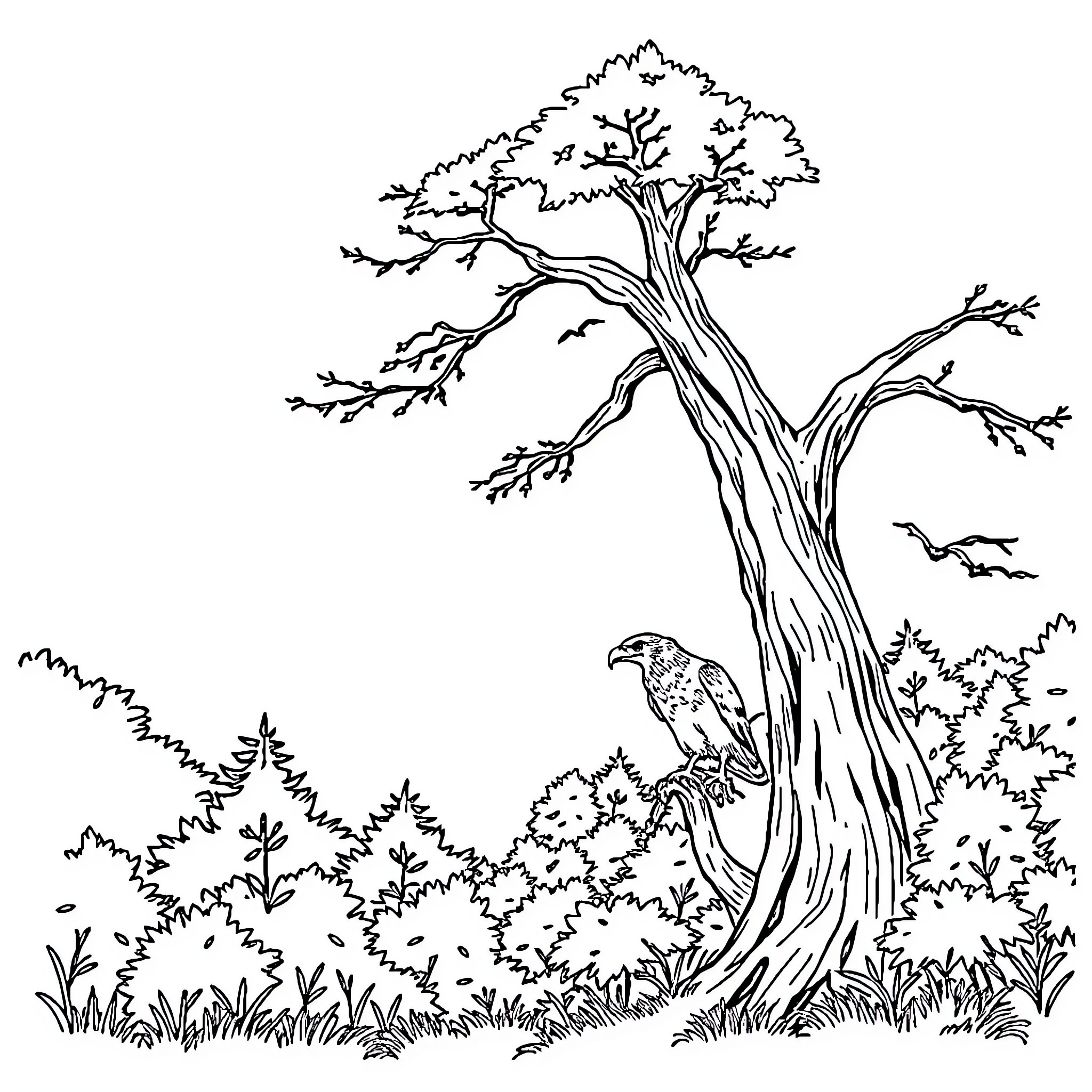 Tree with Raptor Perched Amid Nature Coloring Page (free black-and-white line drawing printable PDF for all, from beginners to advanced learners, including children, teens, adults, and seniors)