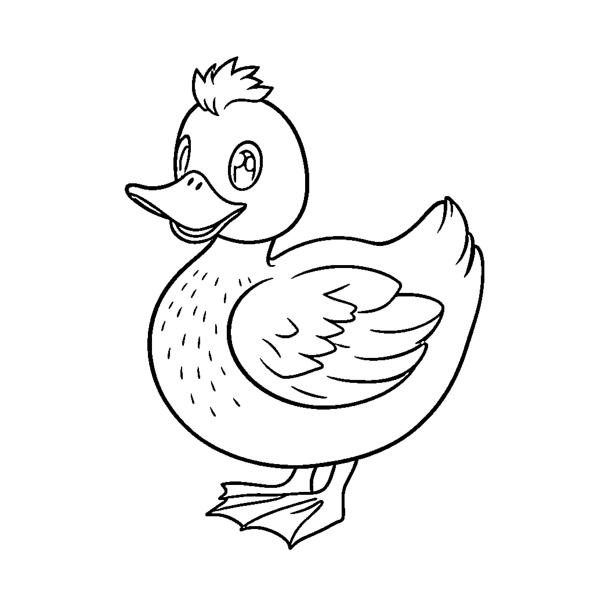 Duck in a Playful Pose Coloring Page (free black-and-white line drawing printable PDF for all, from beginners to advanced learners, including children, teens, adults, and seniors)