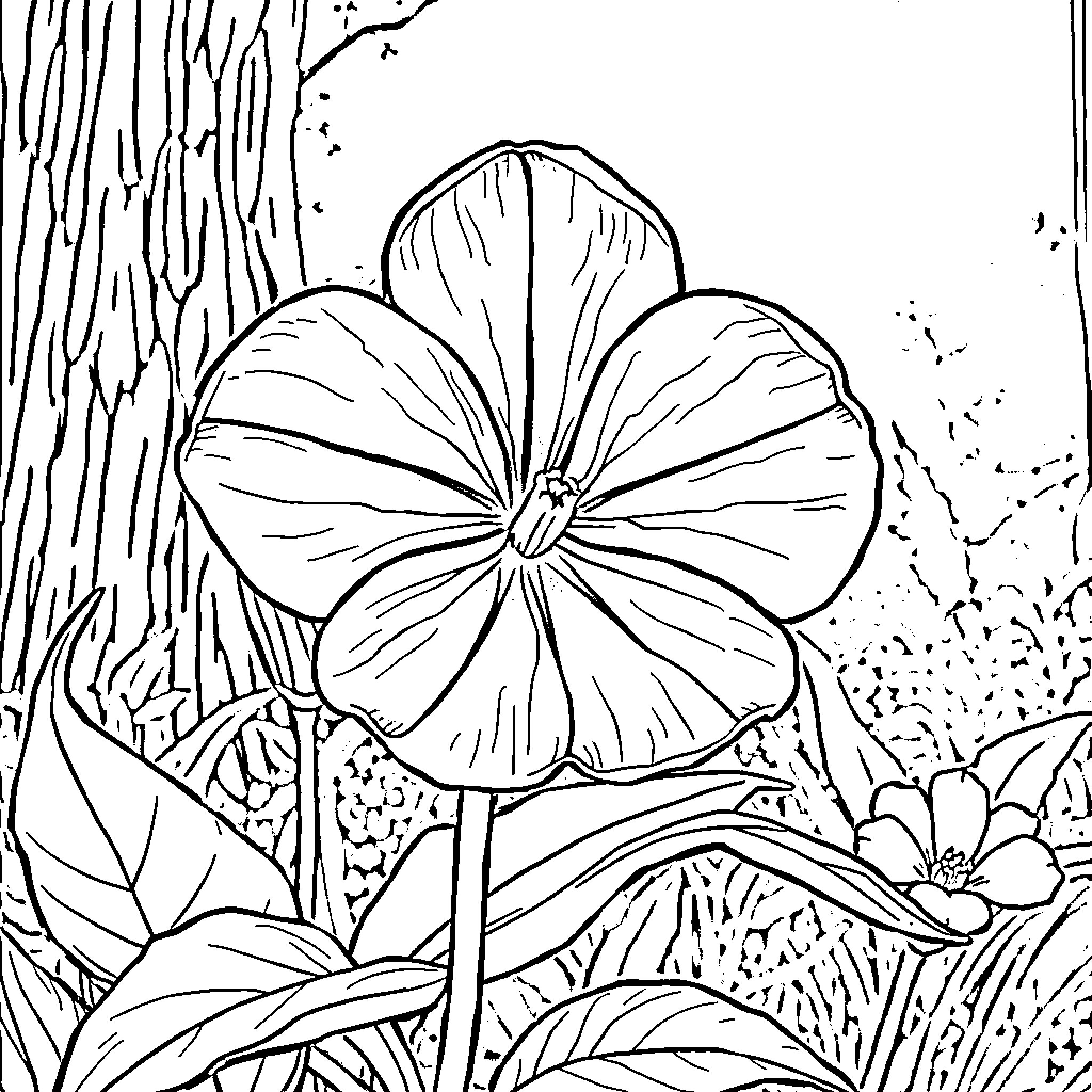 Violet's Floral Reverie Coloring Page (free black-and-white line drawing printable PDF for all, from beginners to advanced learners, including children, teens, adults, and seniors)