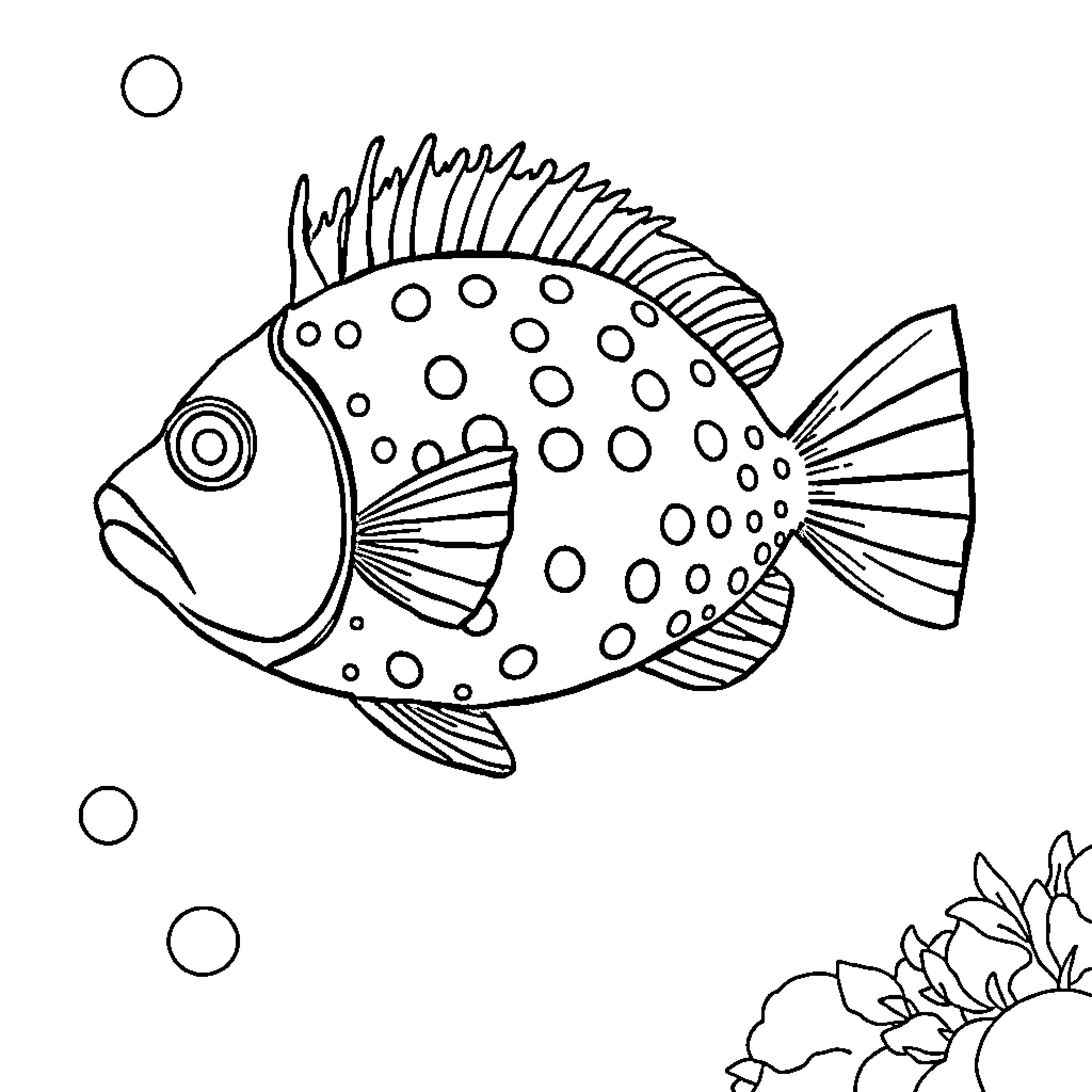Puffer Fish swimming among bubbles Coloring Page (free black-and-white line drawing printable PDF for all, from beginners to advanced learners, including children, teens, adults, and seniors)