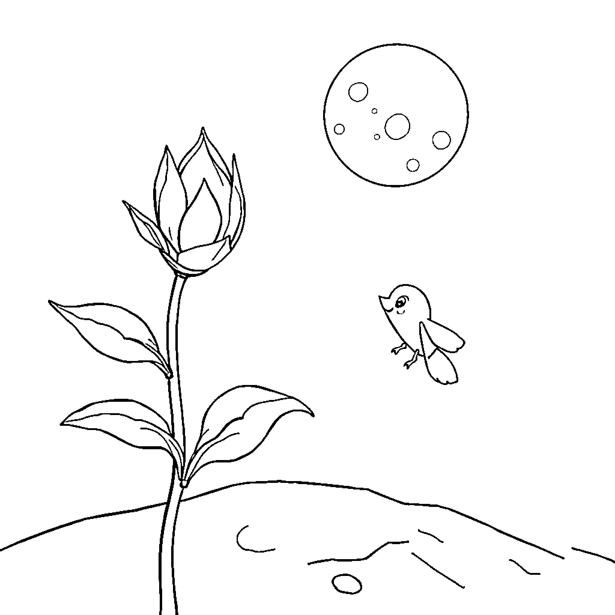 Plant with budding flower and bird flying in night sky Coloring Page (free black-and-white line drawing printable PDF for all, from beginners to advanced learners, including children, teens, adults, and seniors)