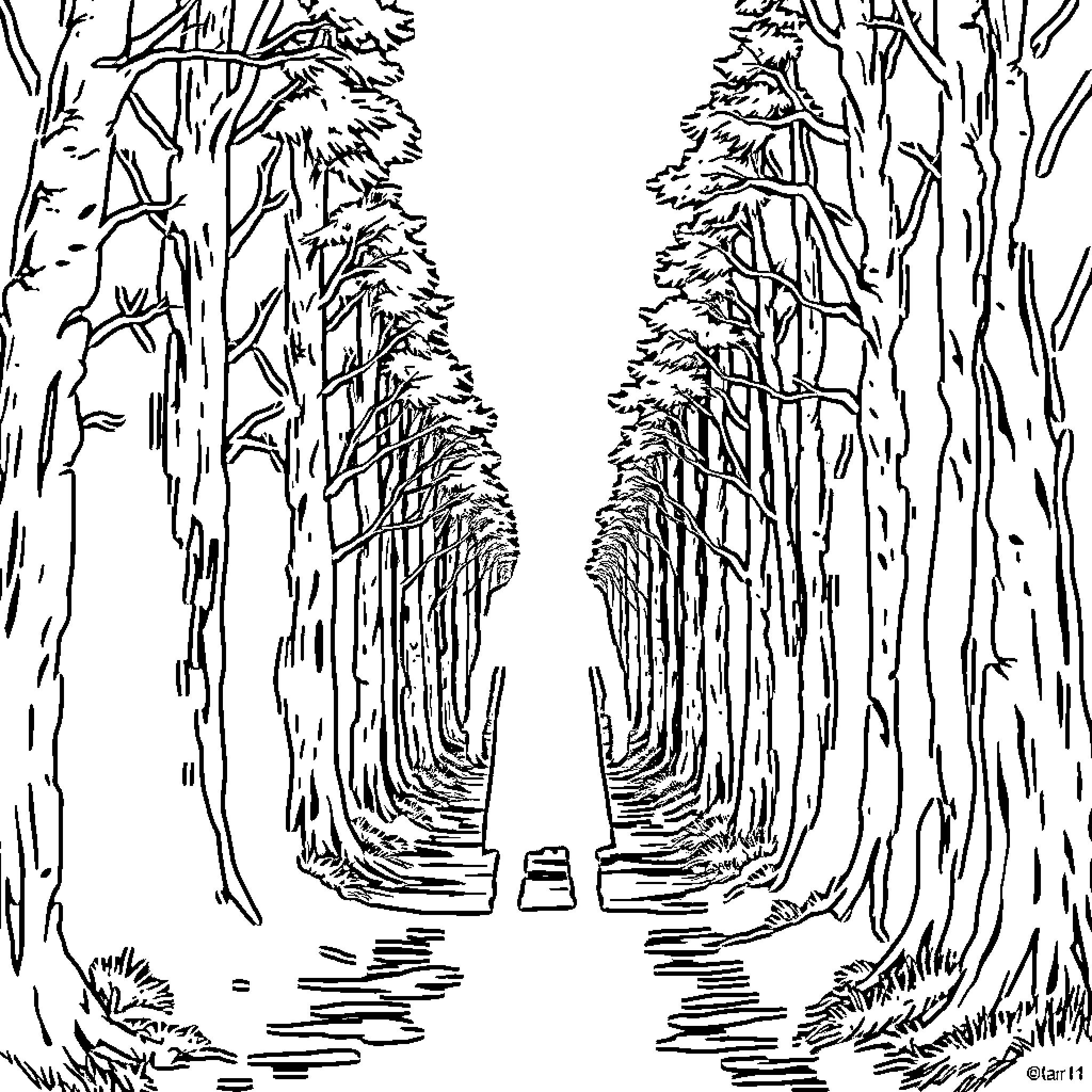 Figure Landscape of a Winding Forest Path Coloring Page (free black-and-white line drawing printable PDF for all, from beginners to advanced learners, including children, teens, adults, and seniors)