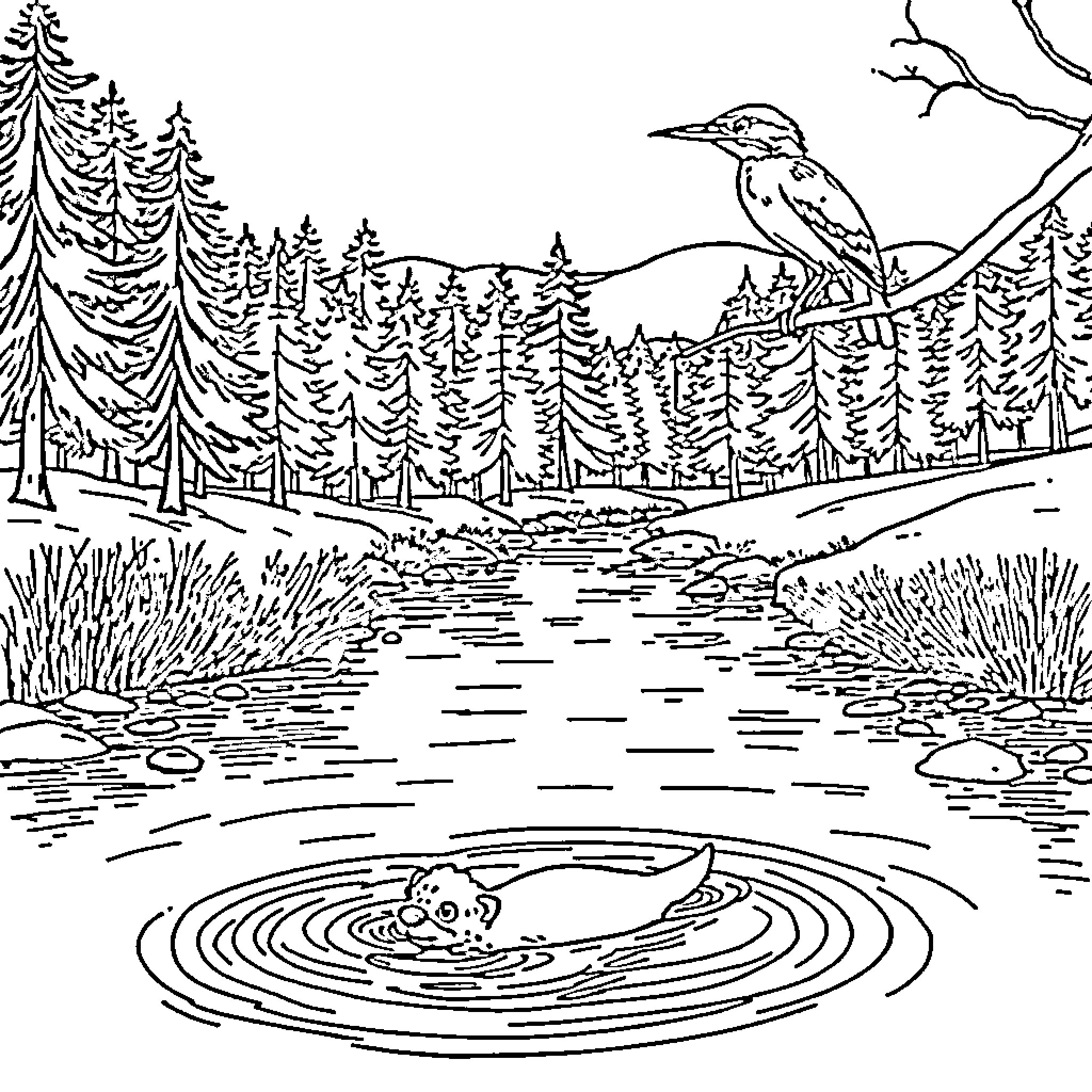Otter Enjoying Peaceful Woodland Pond Landscape Coloring Page (free black-and-white line drawing printable PDF for all, from beginners to advanced learners, including children, teens, adults, and seniors)