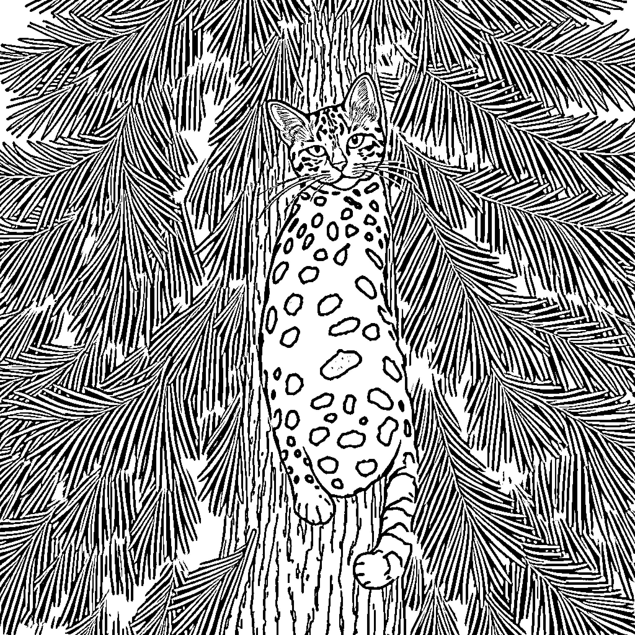 Bengal Cat prowling through a jungle of palm leaves Coloring Page (free black-and-white line drawing printable PDF for all, from beginners to advanced learners, including children, teens, adults, and seniors)