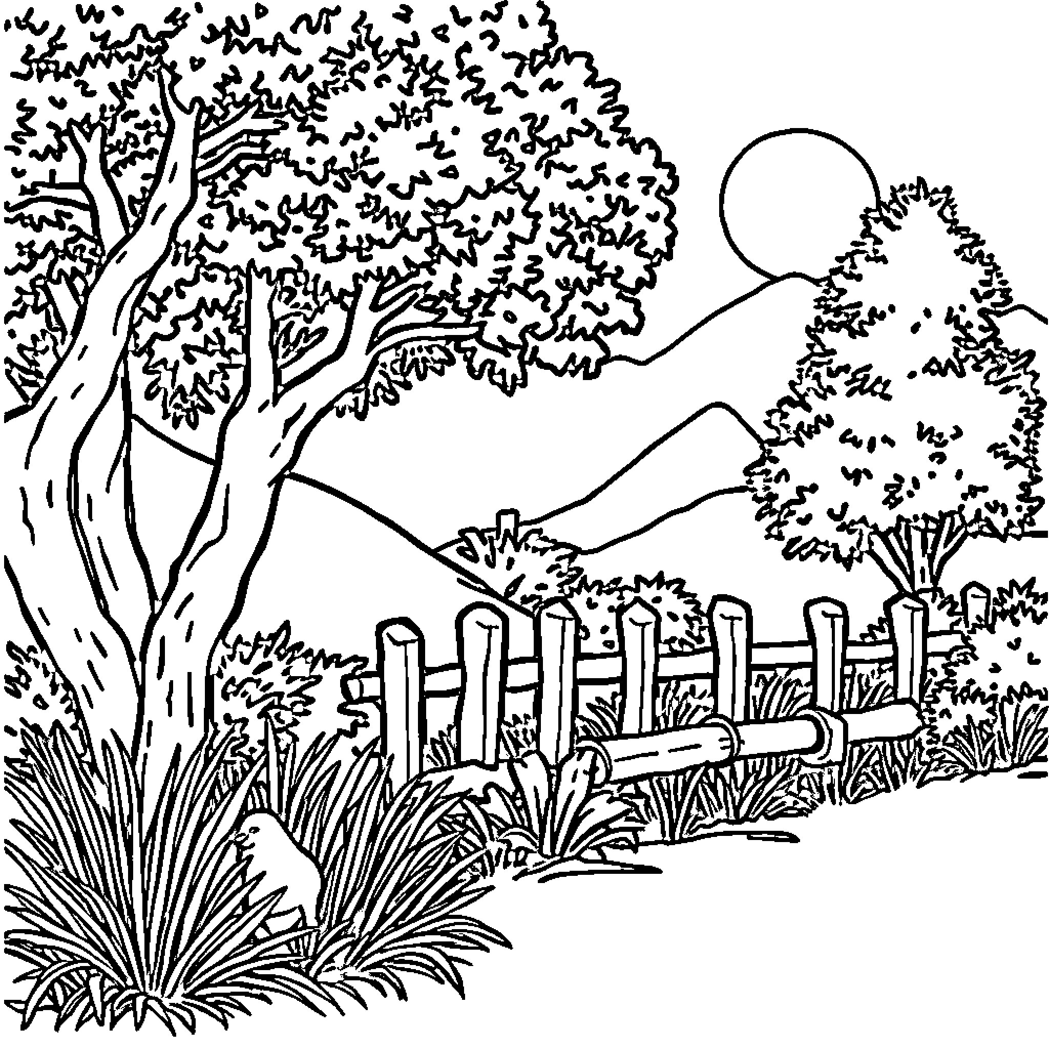 Tranquil forest scene with trees, fence, and sun Coloring Page (free black-and-white line drawing printable PDF for all, from beginners to advanced learners, including children, teens, adults, and seniors)