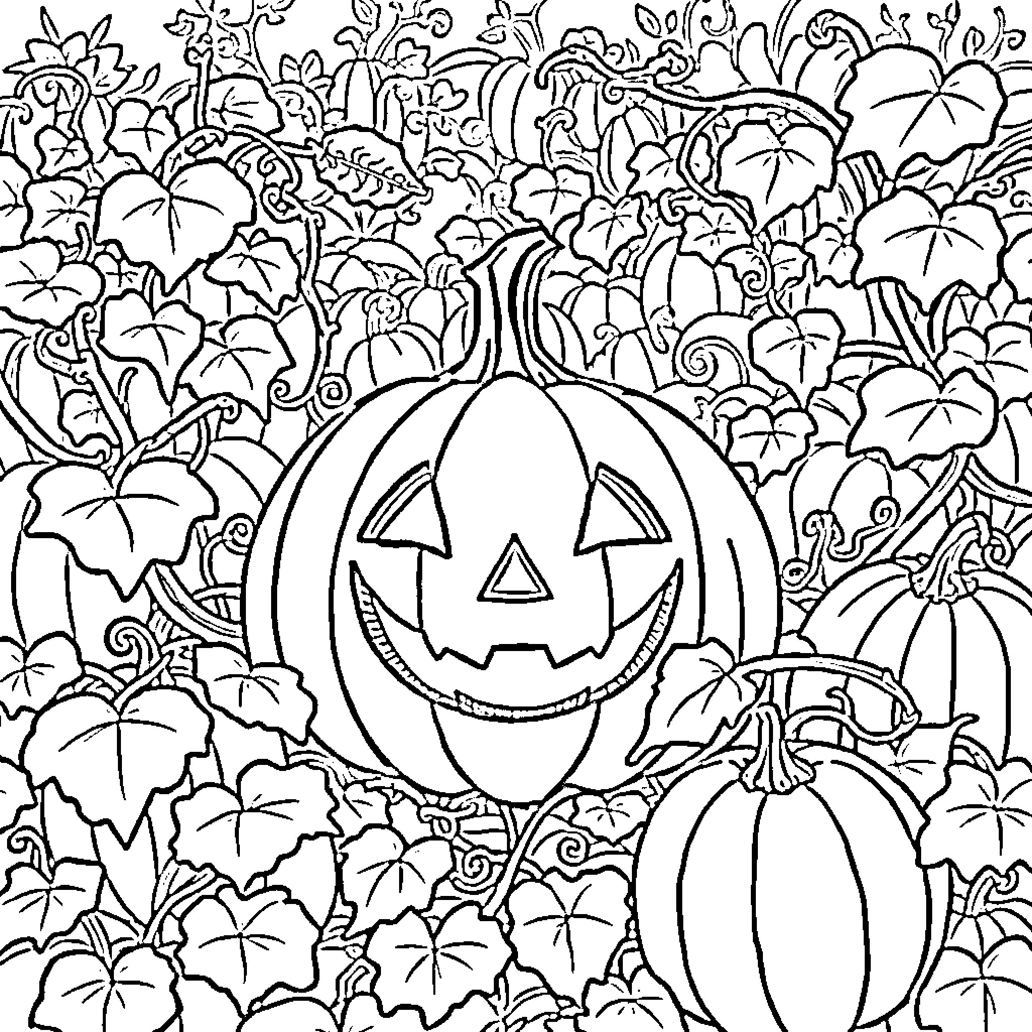 Pumpkins and Halloween foliage in a decorative scene Coloring Page (free black-and-white line drawing printable PDF for all, from beginners to advanced learners, including children, teens, adults, and seniors)