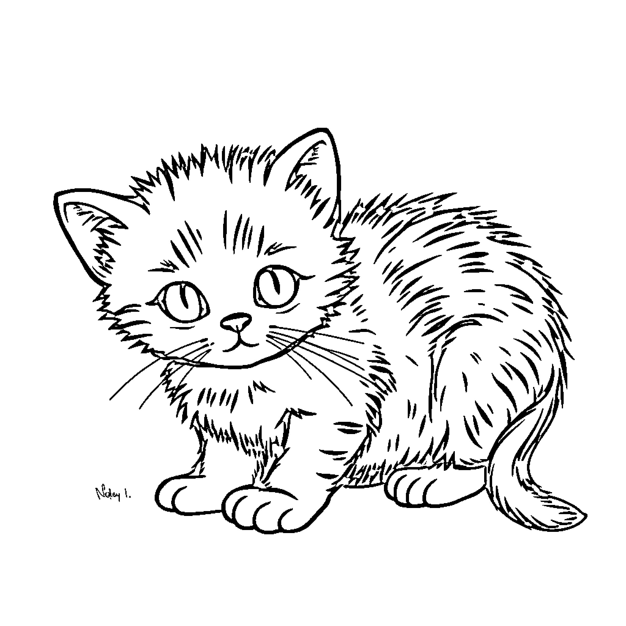 Cat drawing with fluffy appearance Coloring Page (free black-and-white line drawing printable PDF for all, from beginners to advanced learners, including children, teens, adults, and seniors)
