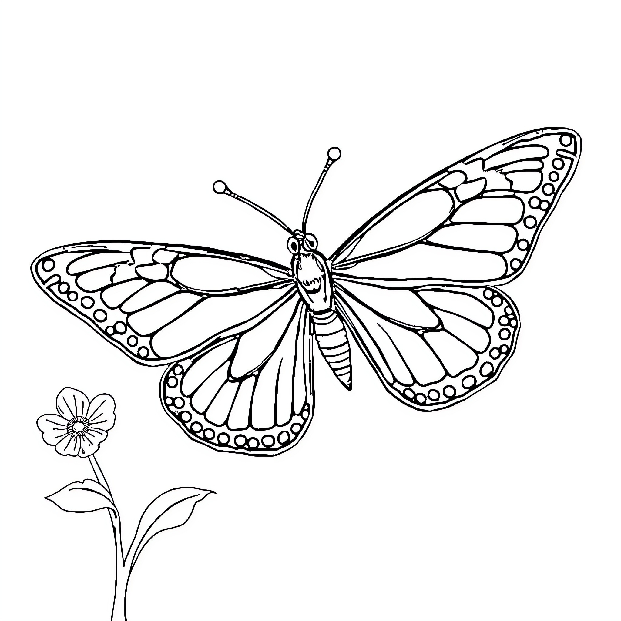 Butterfly resting on a flower Coloring Page (free black-and-white line drawing printable PDF for all, from beginners to advanced learners, including children, teens, adults, and seniors)