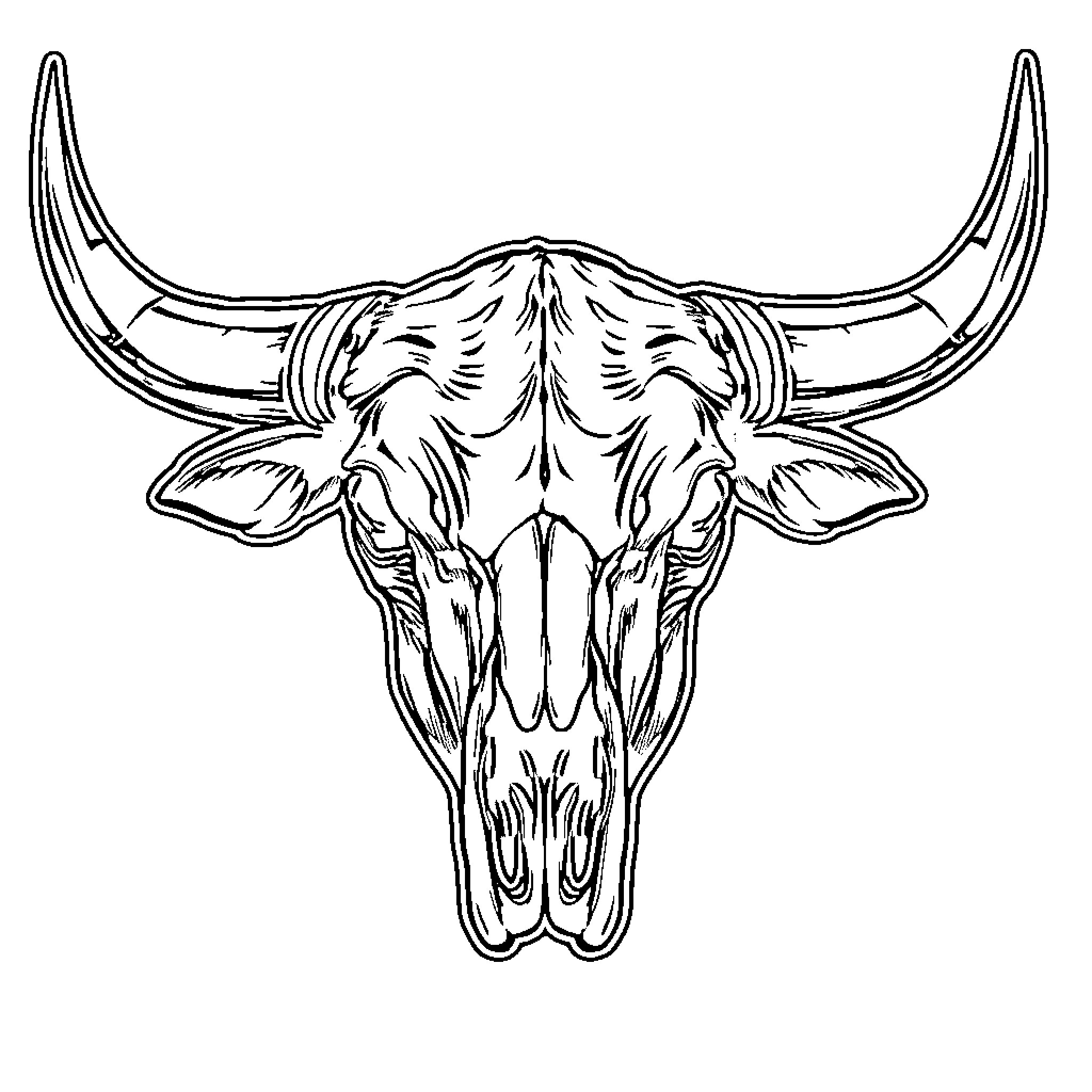 Bull Skull with Intricate Horns Coloring Page (free black-and-white line drawing printable PDF for all, from beginners to advanced learners, including children, teens, adults, and seniors)