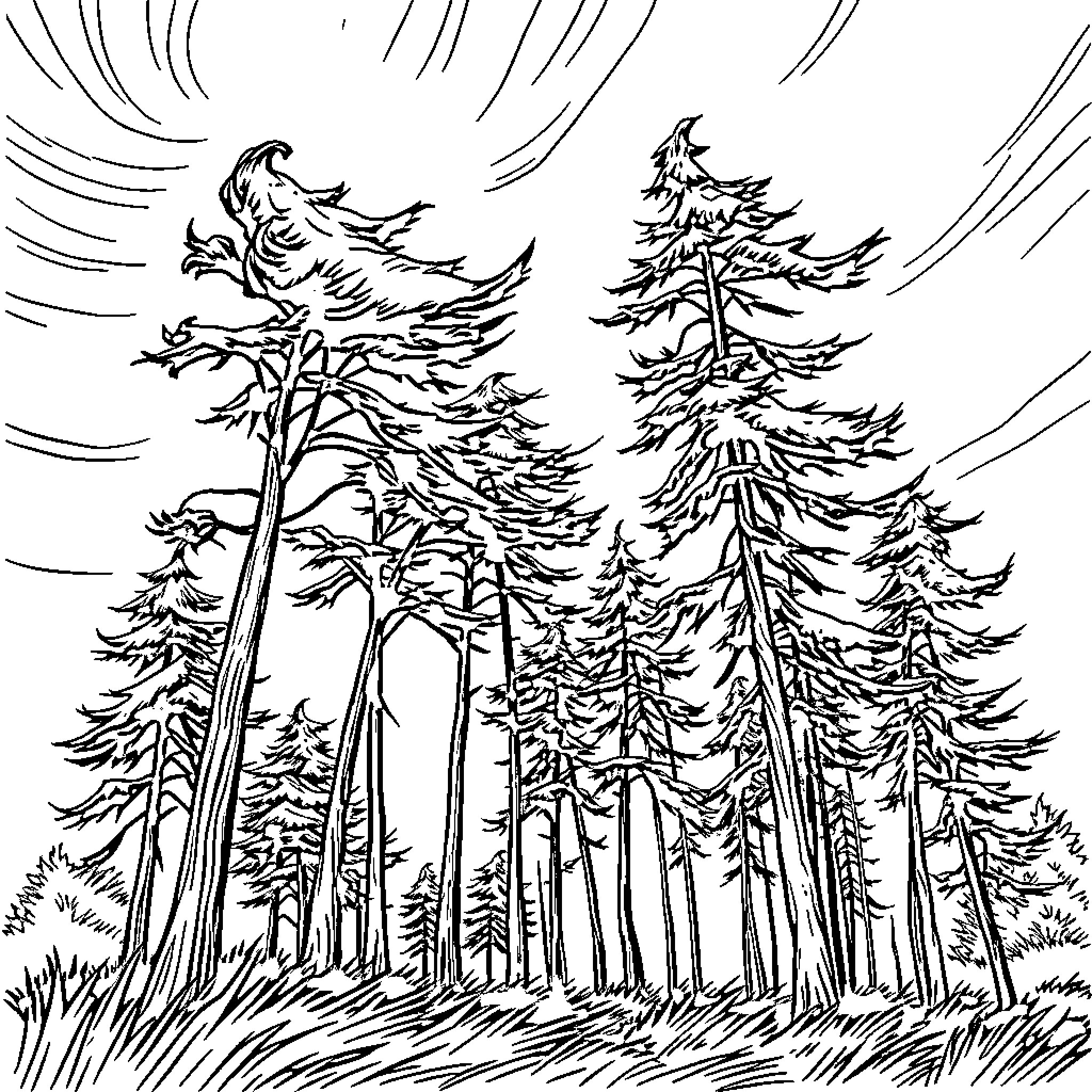 Tree forest scene with swirling winds Coloring Page (free black-and-white line drawing printable PDF for all, from beginners to advanced learners, including children, teens, adults, and seniors)
