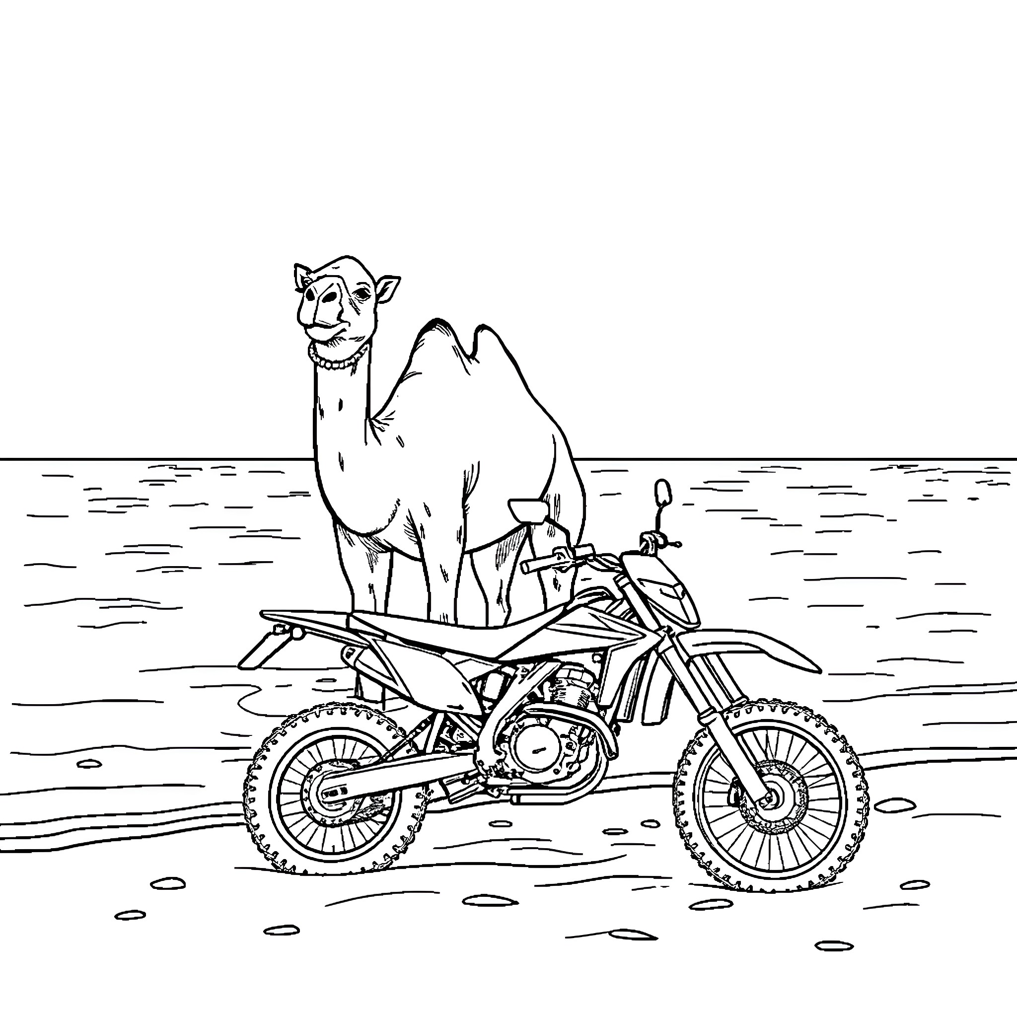 Camel riding a motorbike in the desert Coloring Page (free black-and-white line drawing printable PDF for all, from beginners to advanced learners, including children, teens, adults, and seniors)