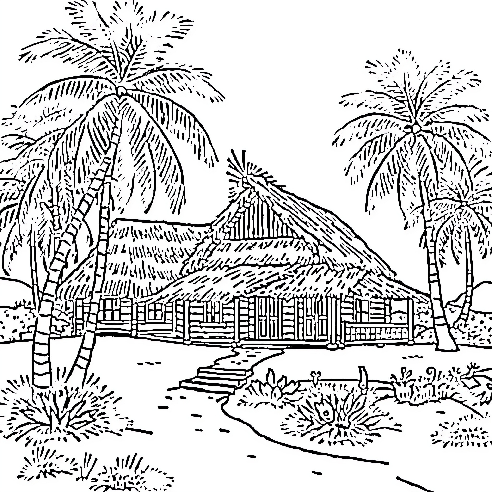 House with palm trees and tropical scenery Coloring Page (free black-and-white line drawing printable PDF for all, from beginners to advanced learners, including children, teens, adults, and seniors)