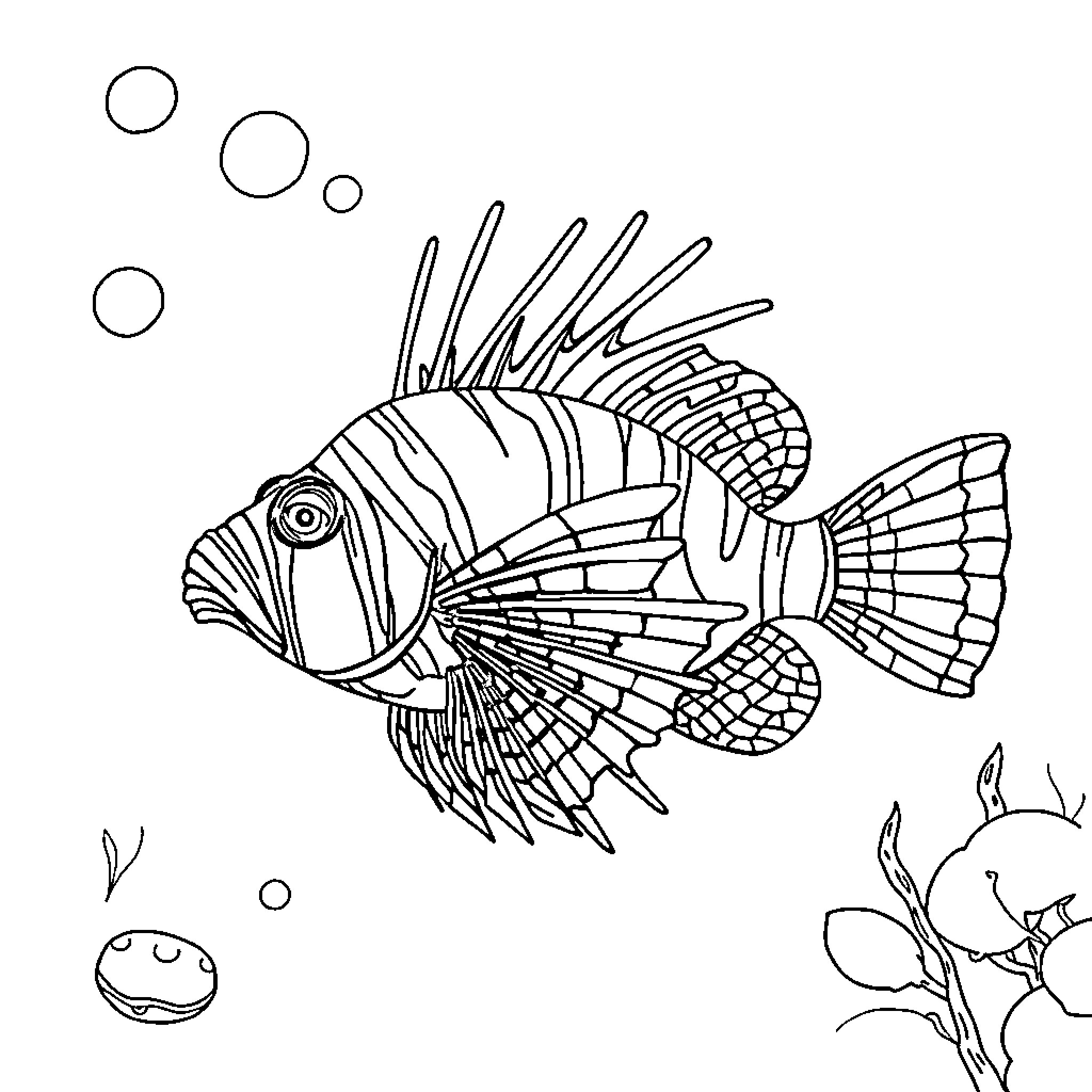 Lionfish swimming gracefully in the ocean Coloring Page (free black-and-white line drawing printable PDF for all, from beginners to advanced learners, including children, teens, adults, and seniors)
